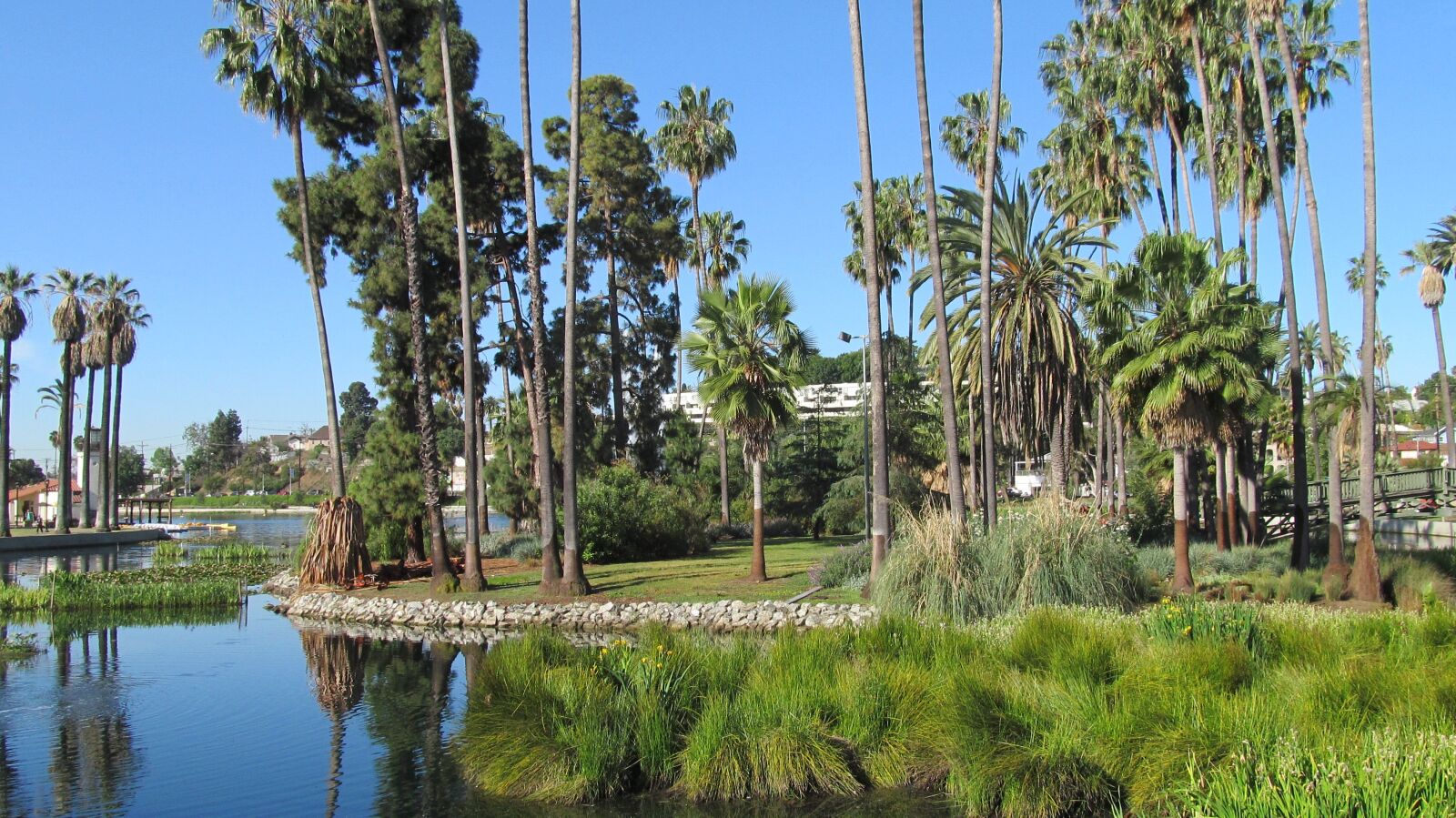 Canon PowerShot SX150 IS sample photo. Echo park, los angeles photography