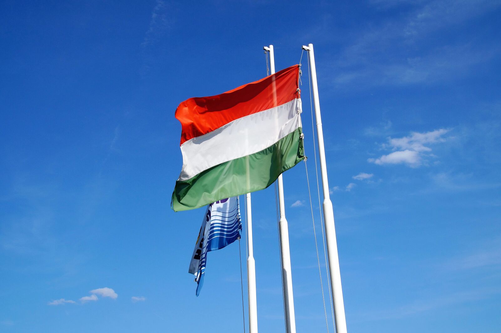 Sony SLT-A58 sample photo. The flag of the photography