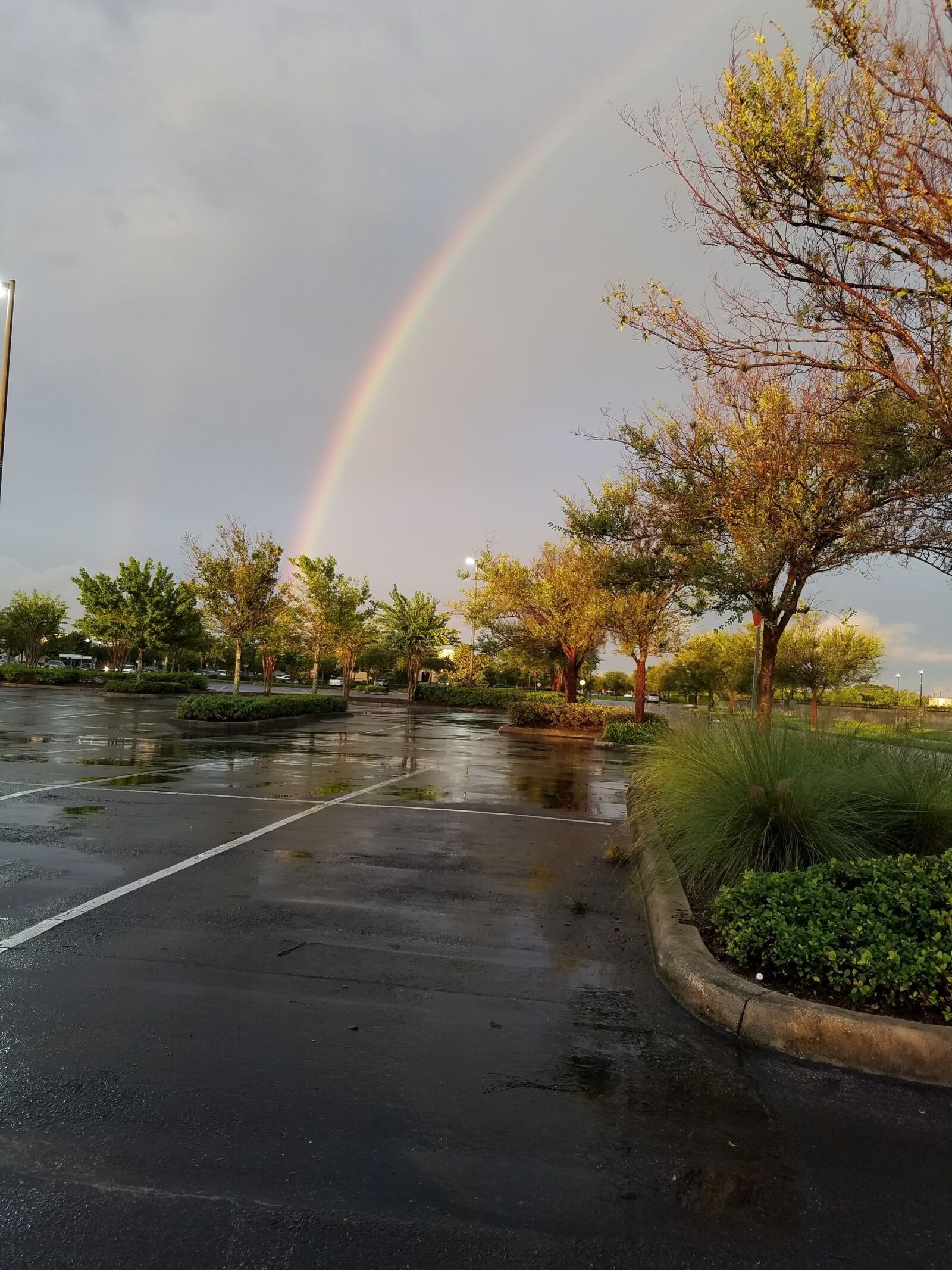 Samsung Galaxy S7 sample photo. Rain, rainbow photography
