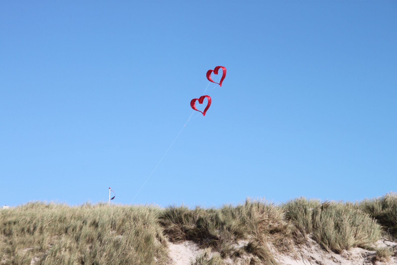 Canon EOS 500D (EOS Rebel T1i / EOS Kiss X3) sample photo. Dune, dragons, north sea photography