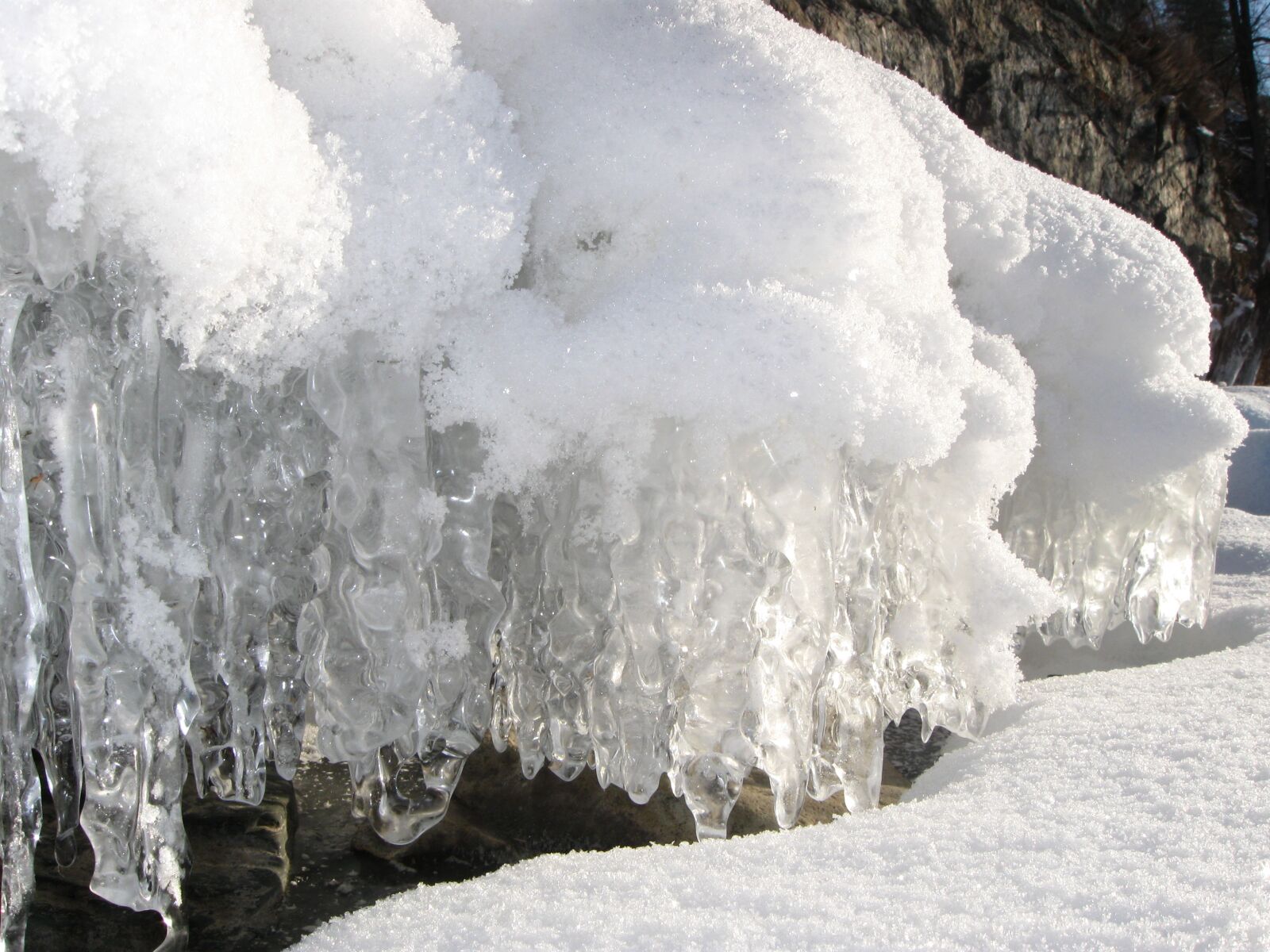 Canon PowerShot A590 IS sample photo. Winter, snow, white photography
