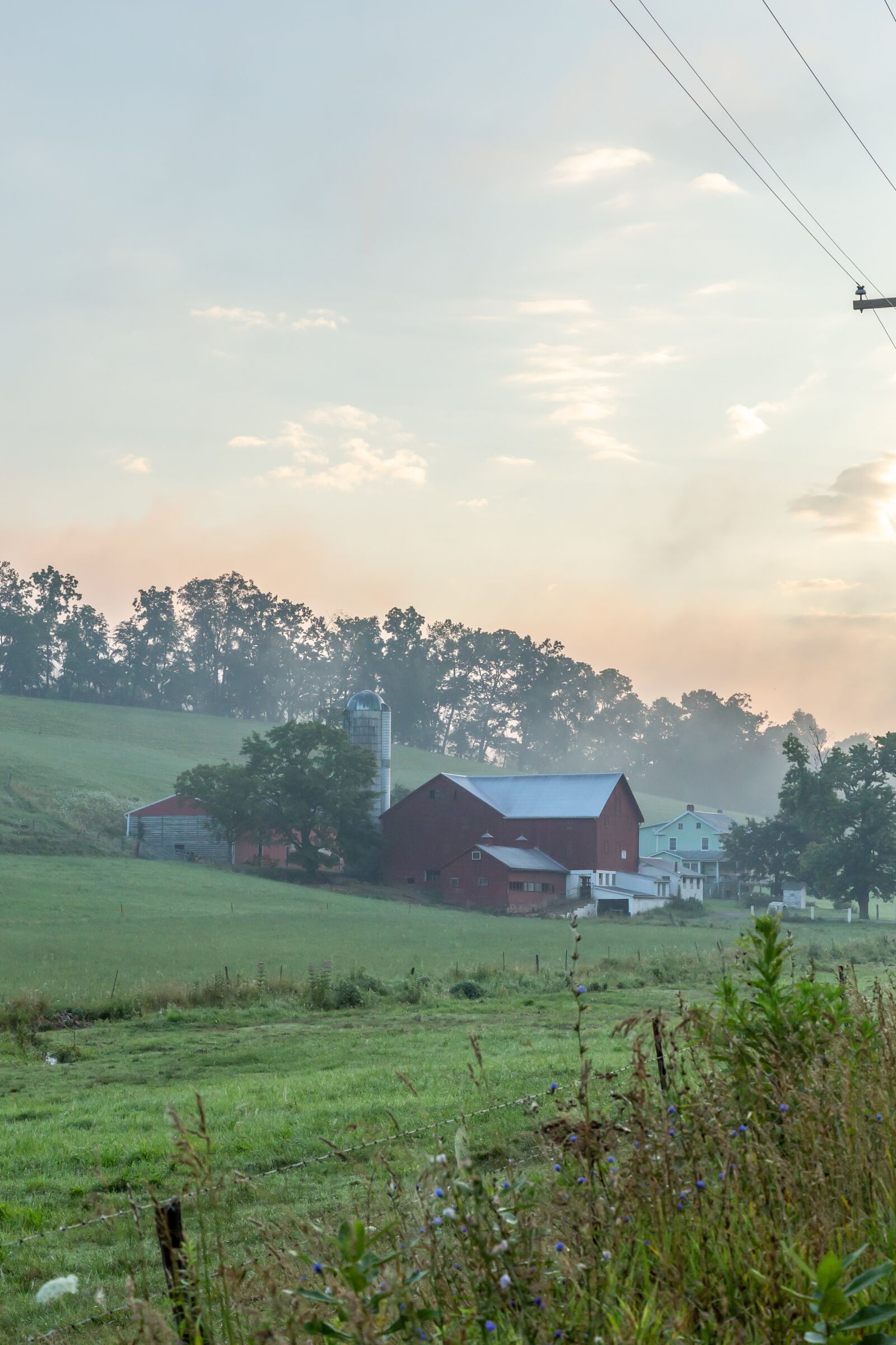 Canon EOS 6D + Canon EF 24-105mm F4L IS USM sample photo. Farm, agriculture, nature photography