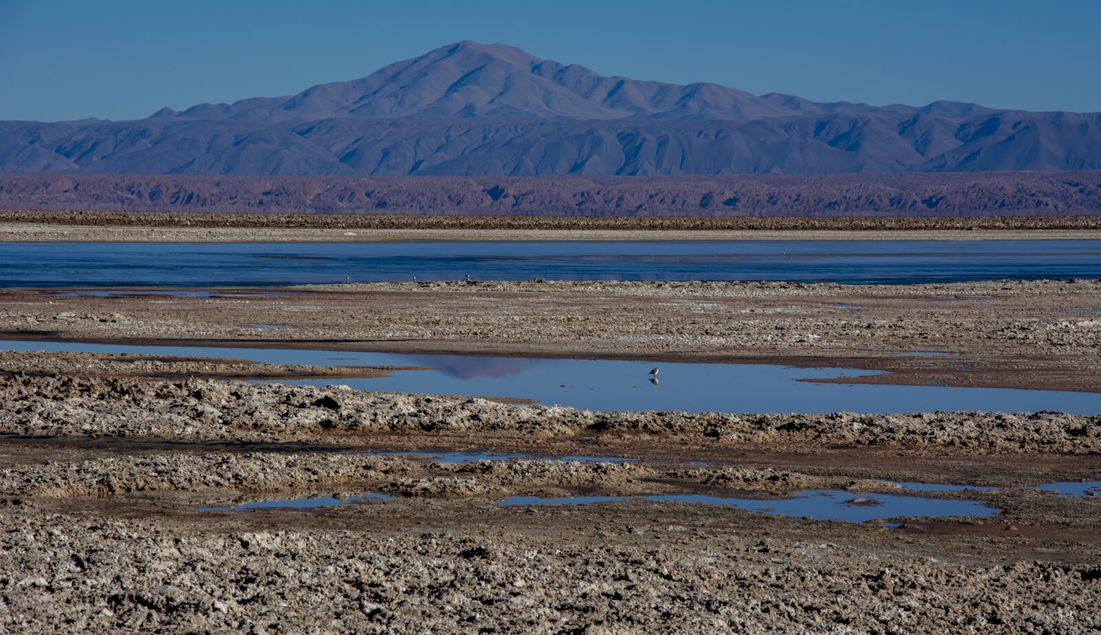 Nikon D7100 sample photo. Socaire, desert, chile photography