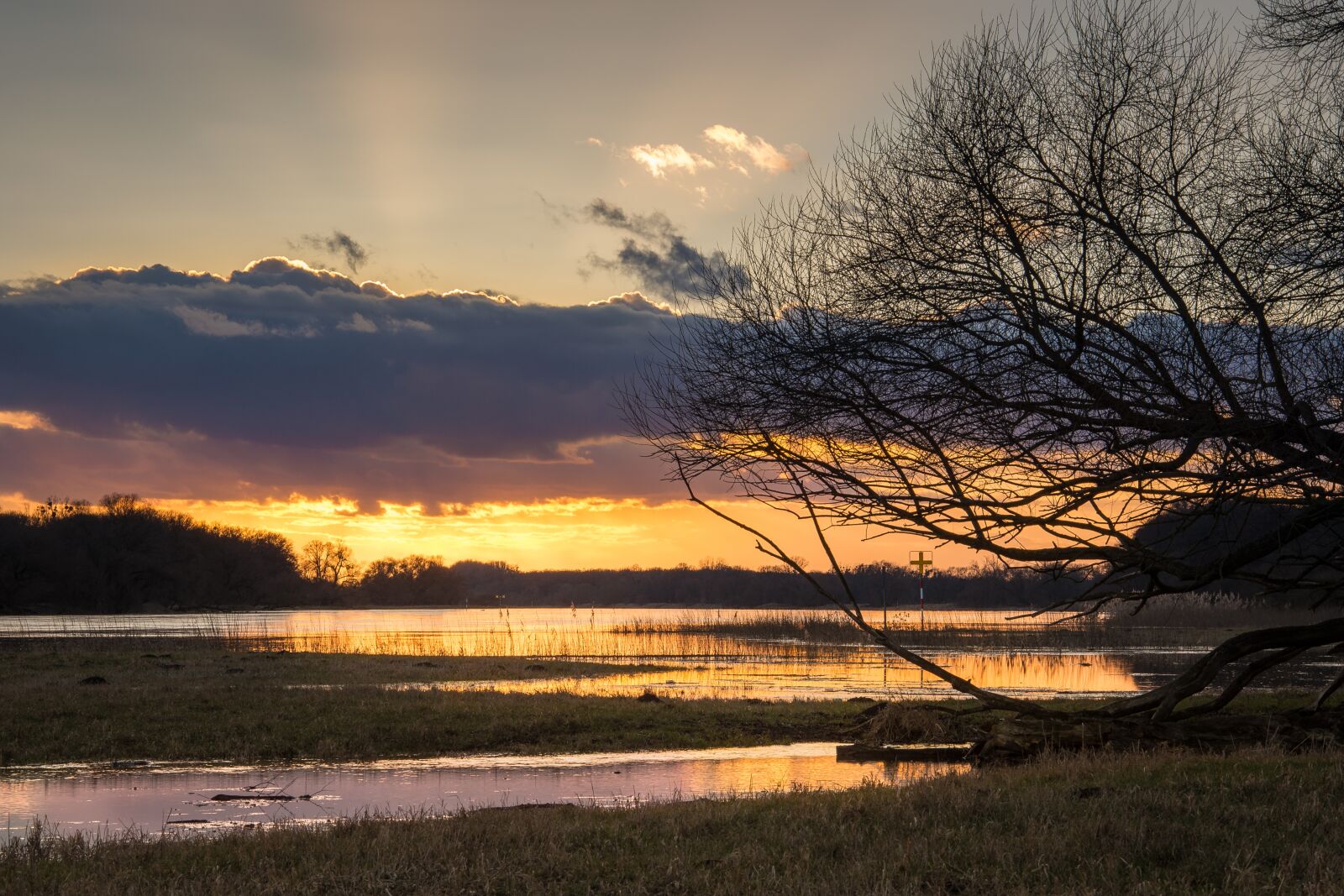 Nikon D7200 sample photo. Elbe, high water, evening photography