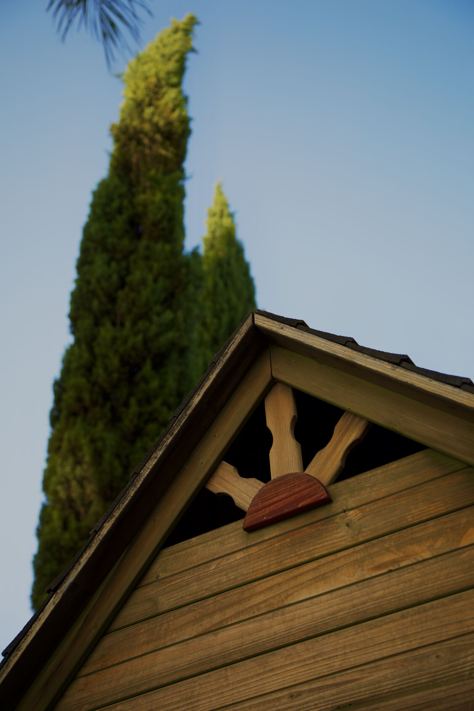 Canon EF 24-105mm F4L IS USM sample photo