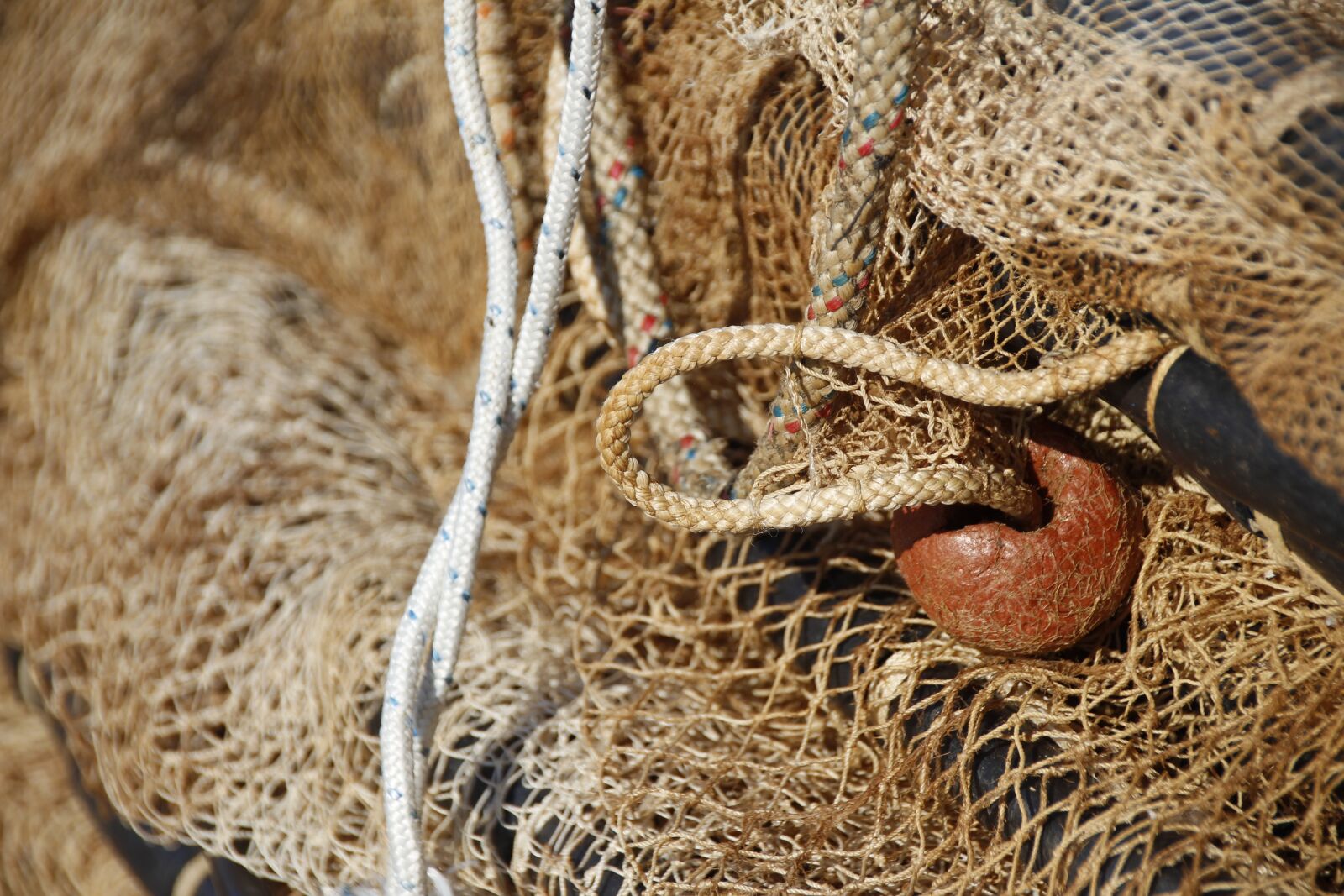 Canon EOS 700D (EOS Rebel T5i / EOS Kiss X7i) sample photo. Web, fisherman, swimmer photography