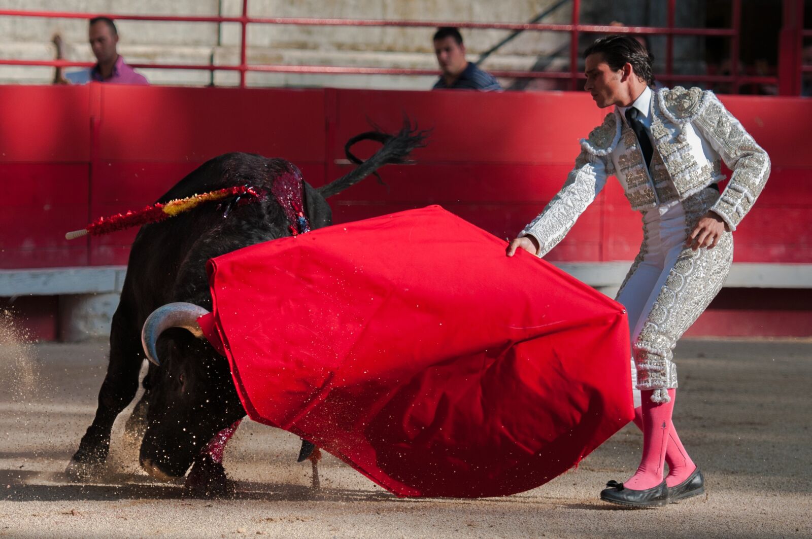 Nikon D300S sample photo. Bullfight, bulls, arenas photography
