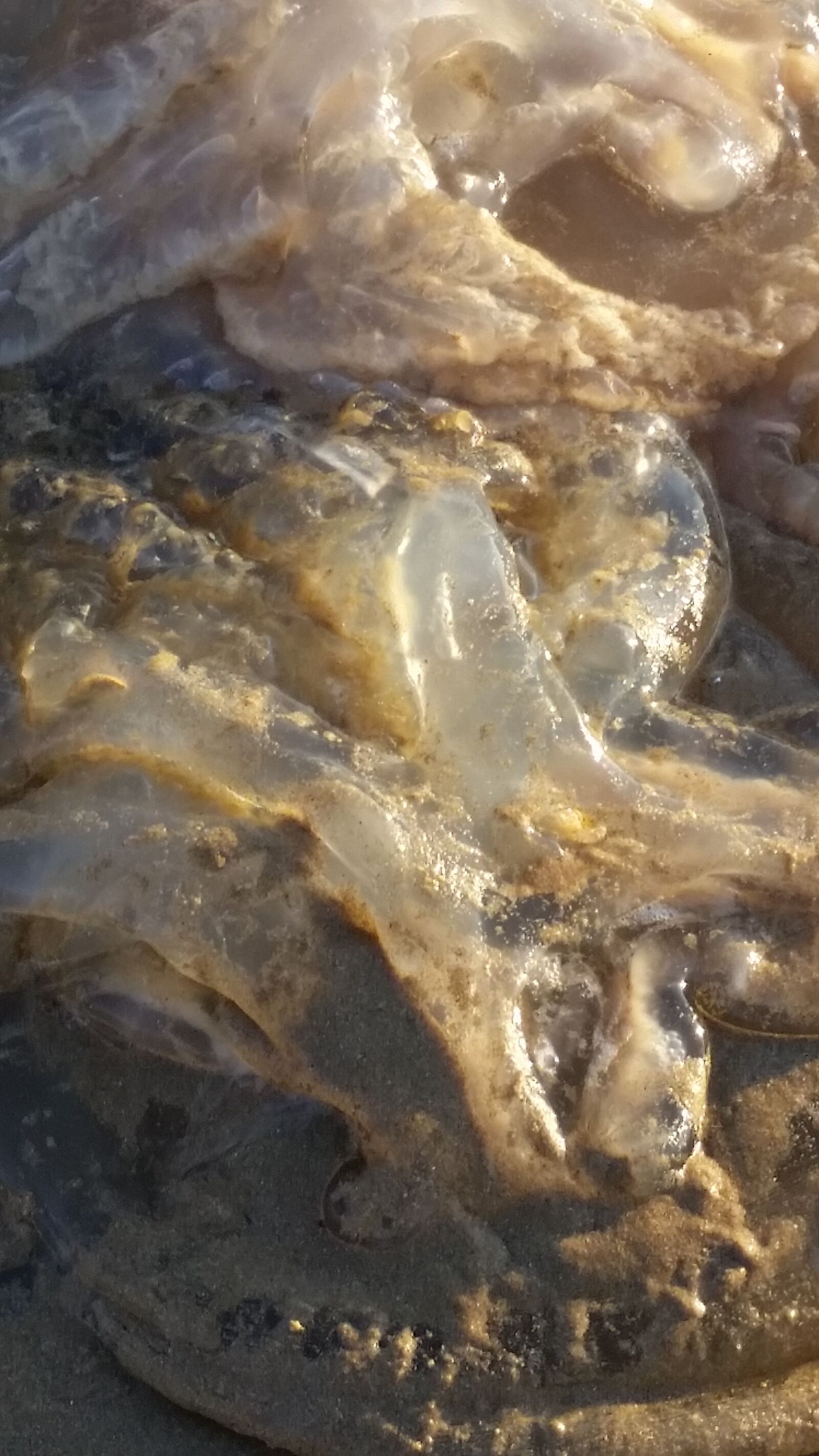 Samsung Galaxy S5 sample photo. Sea, product, costa photography