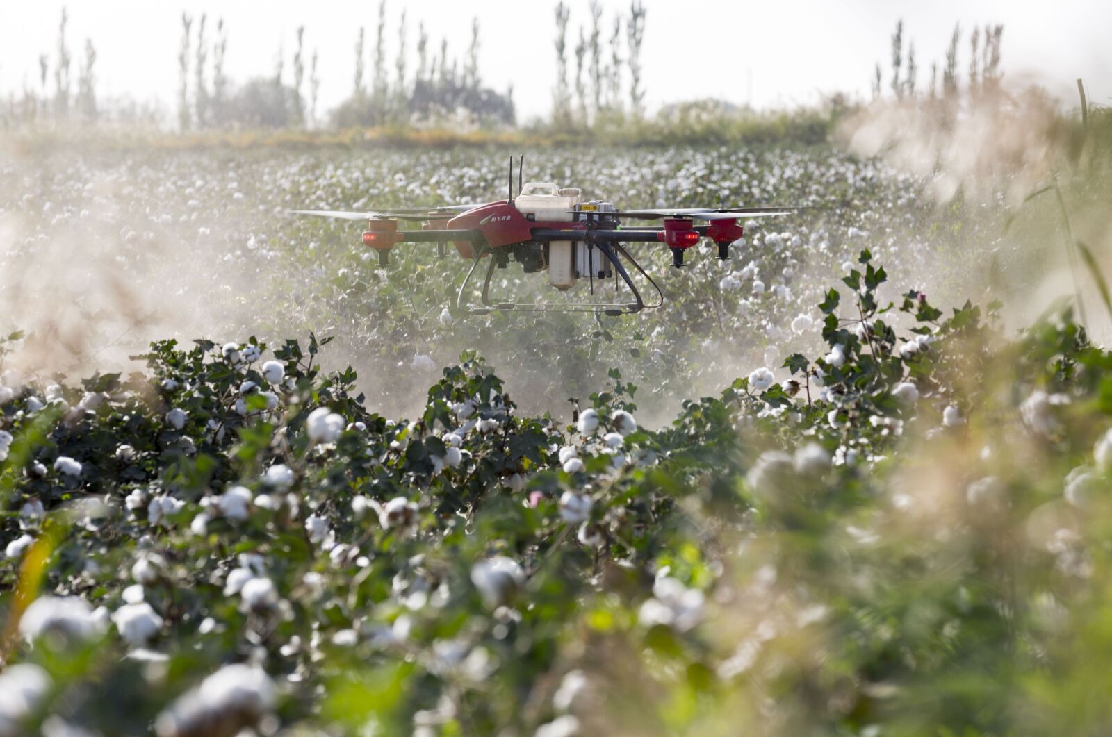 Canon EOS 5D Mark III sample photo. Uav, plant protection drone photography