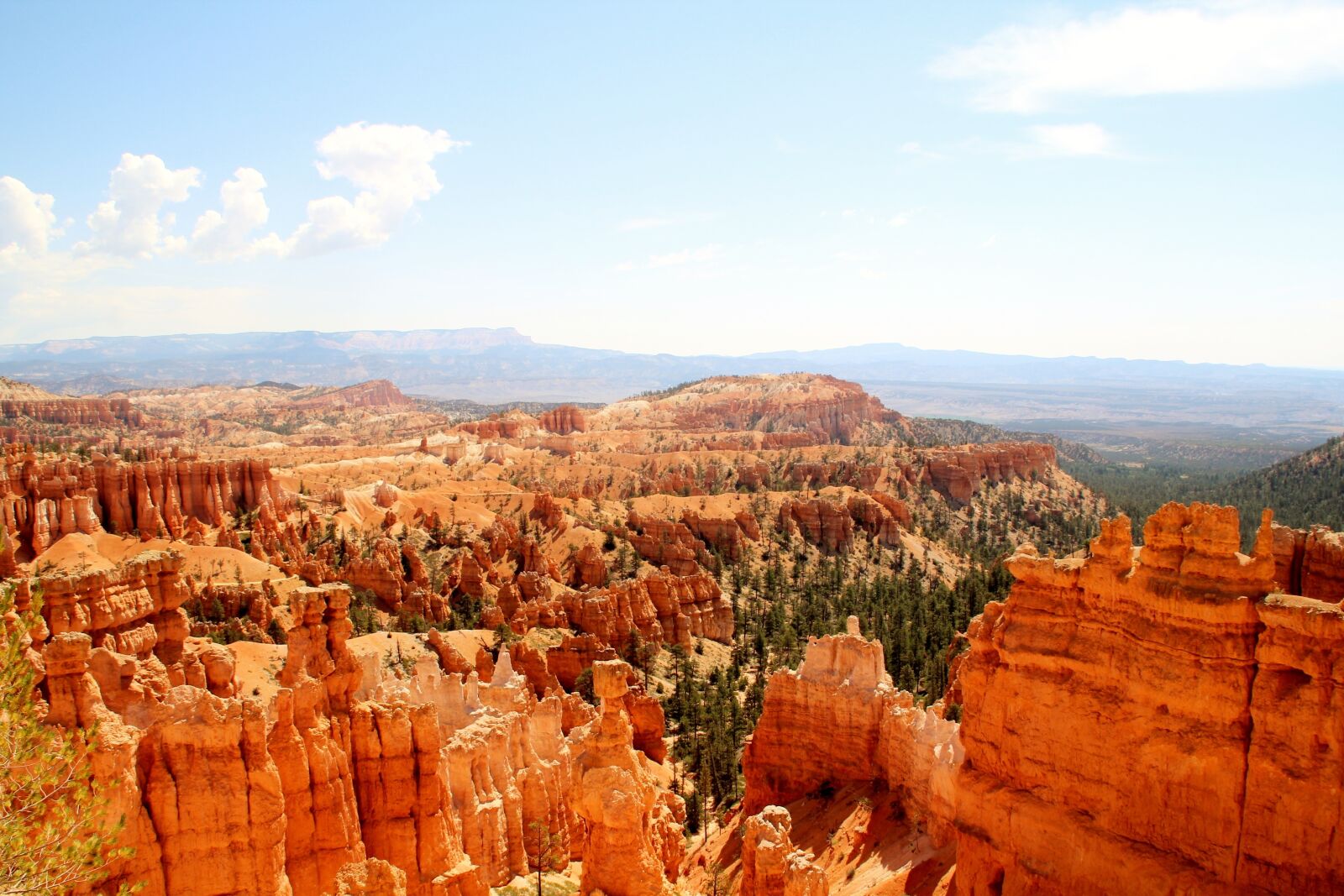 Canon EOS 600D (Rebel EOS T3i / EOS Kiss X5) sample photo. United states, canyon, nature photography