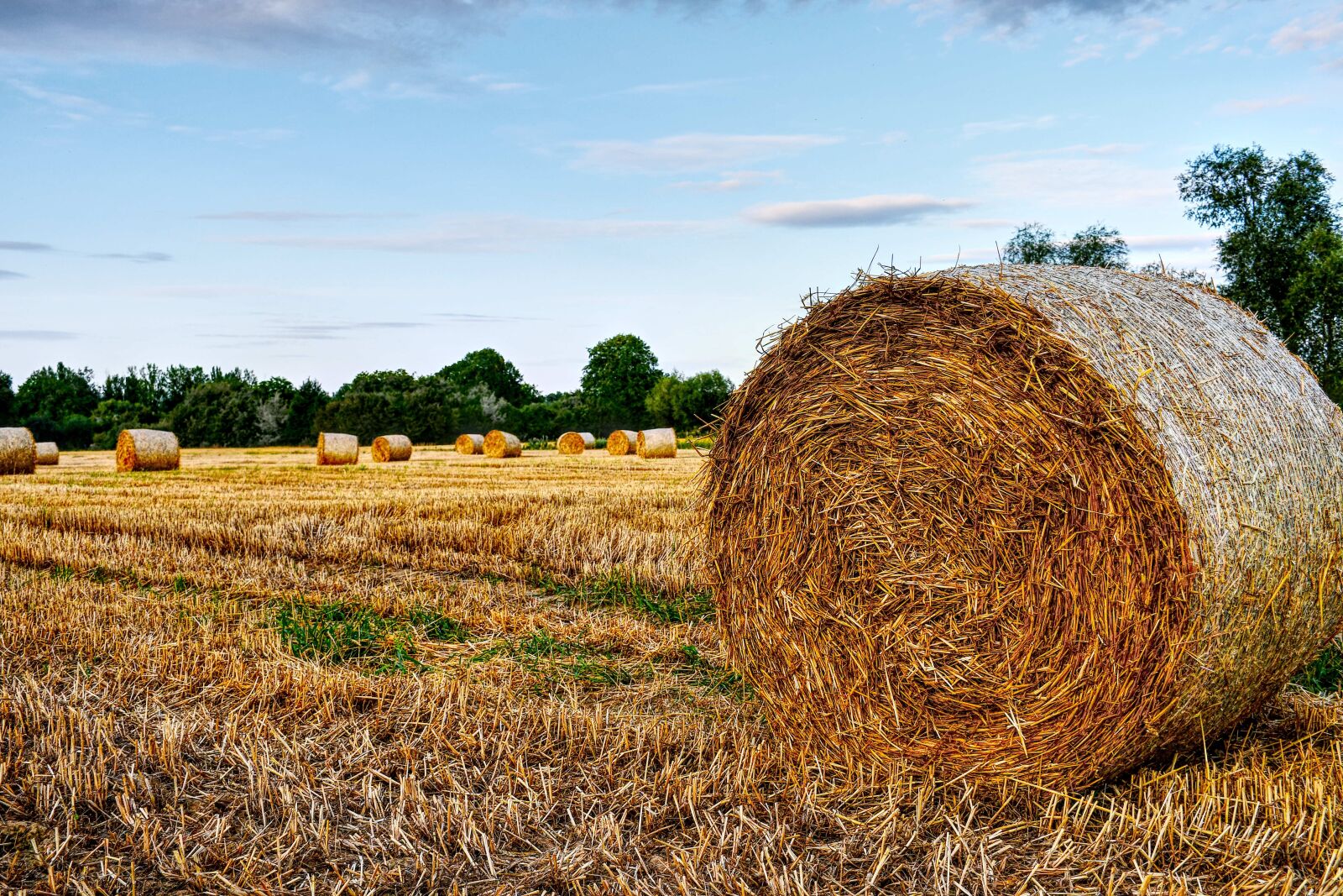 Nikon D7500 sample photo. Straw, field, summer photography