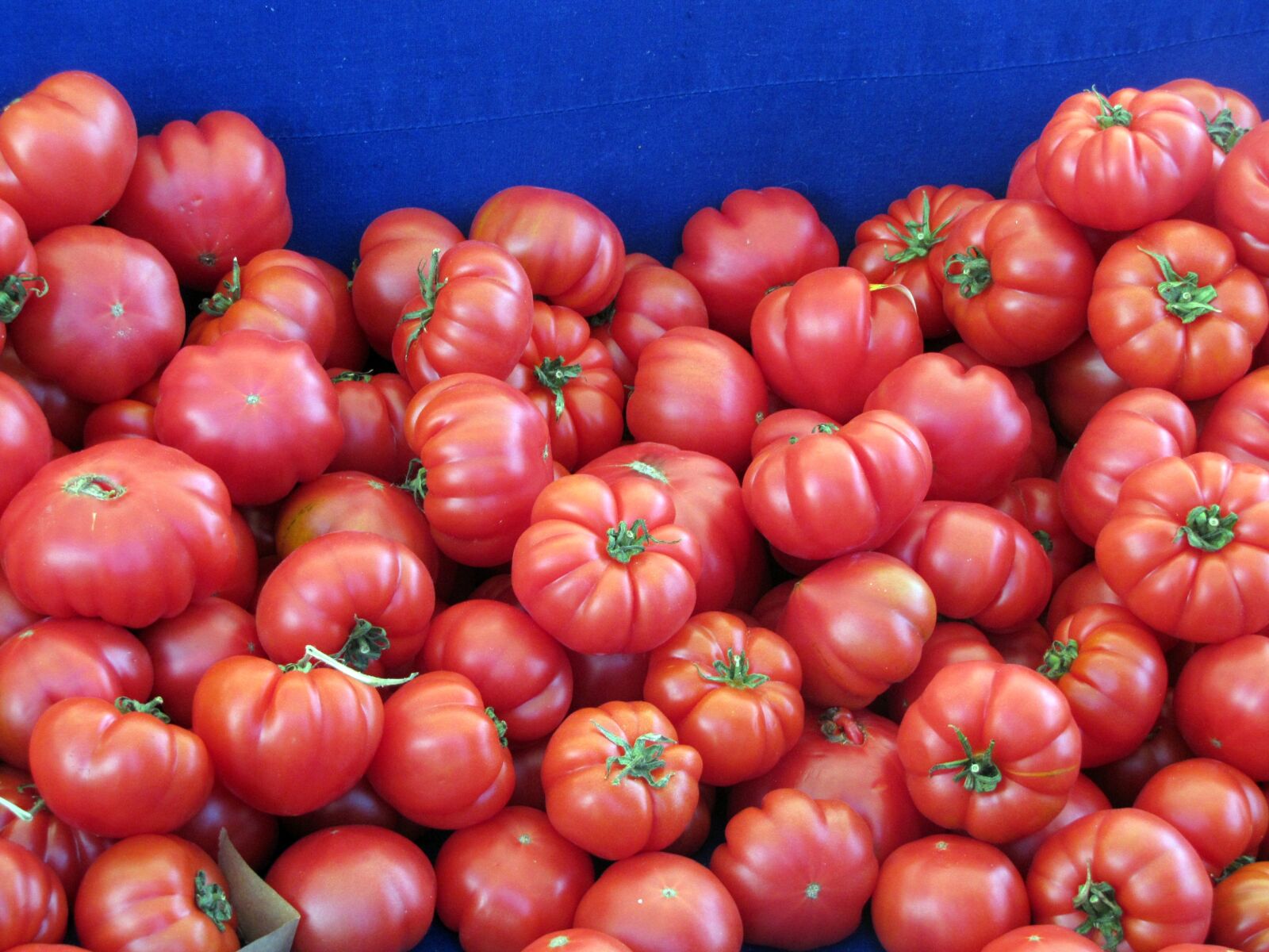 Здоровый томат