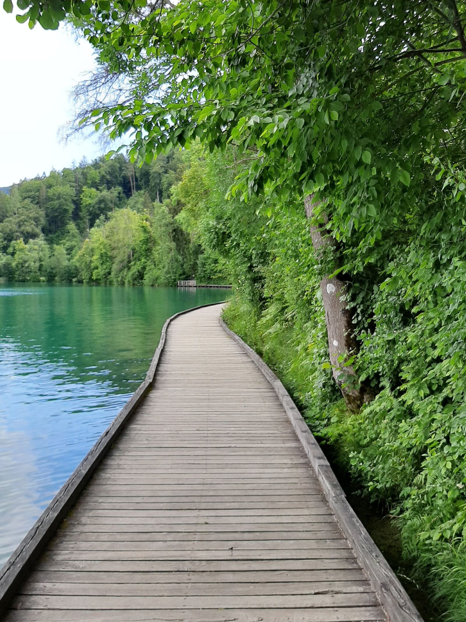 Samsung SM-A307FN sample photo. Nature, landscape, purity photography
