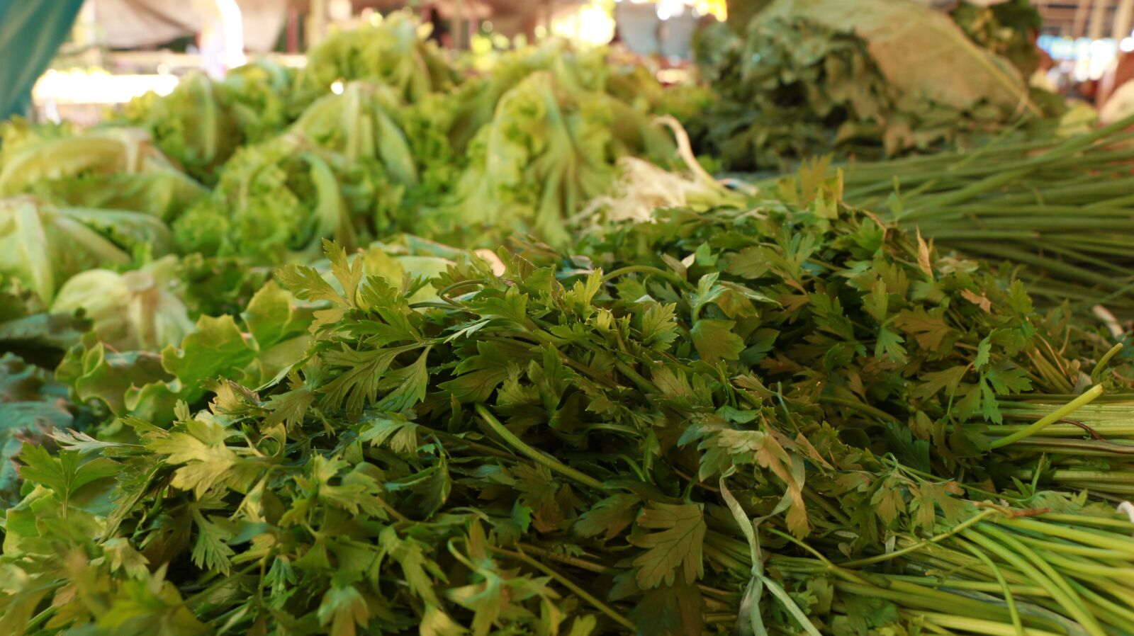 Canon EOS 70D sample photo. Parsley, chives, green smell photography