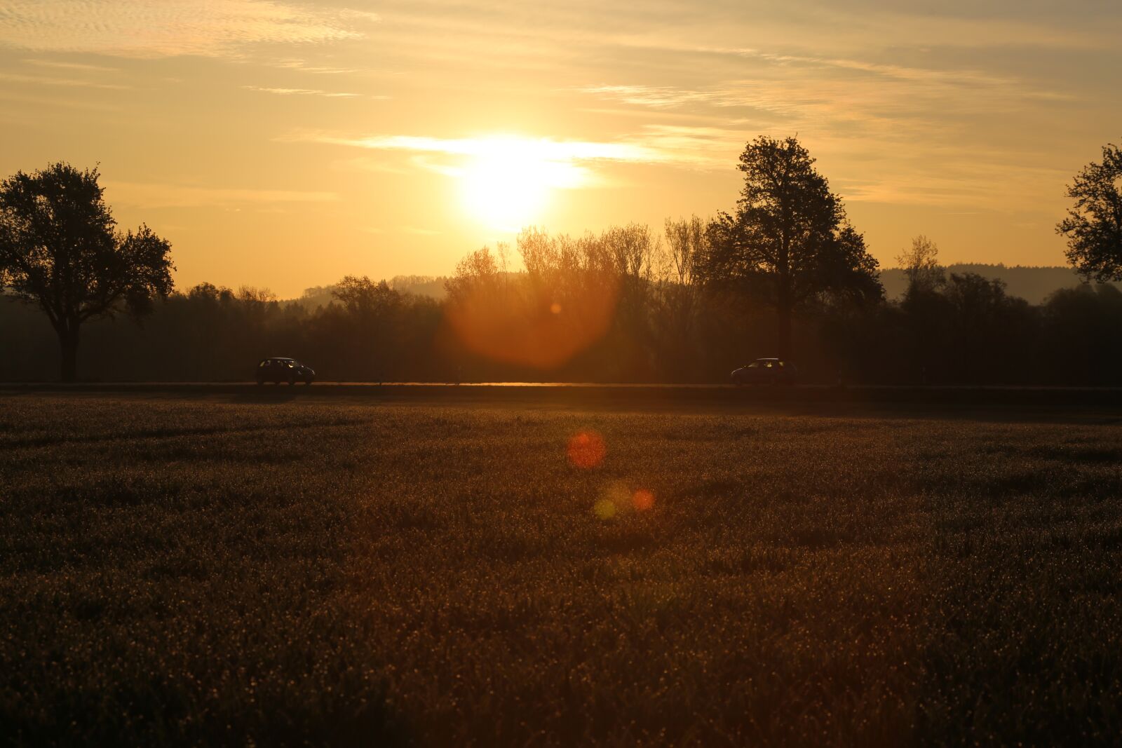 Canon EF 100-400mm F4.5-5.6L IS USM sample photo. Evening, sun, sunset photography