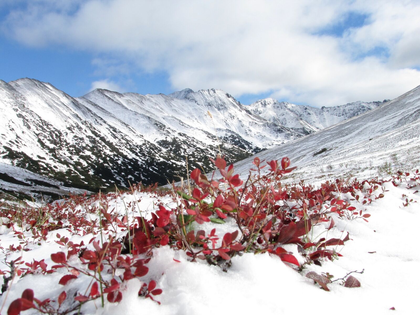 Canon PowerShot SX1 IS sample photo. Mountains, autumn, the first photography