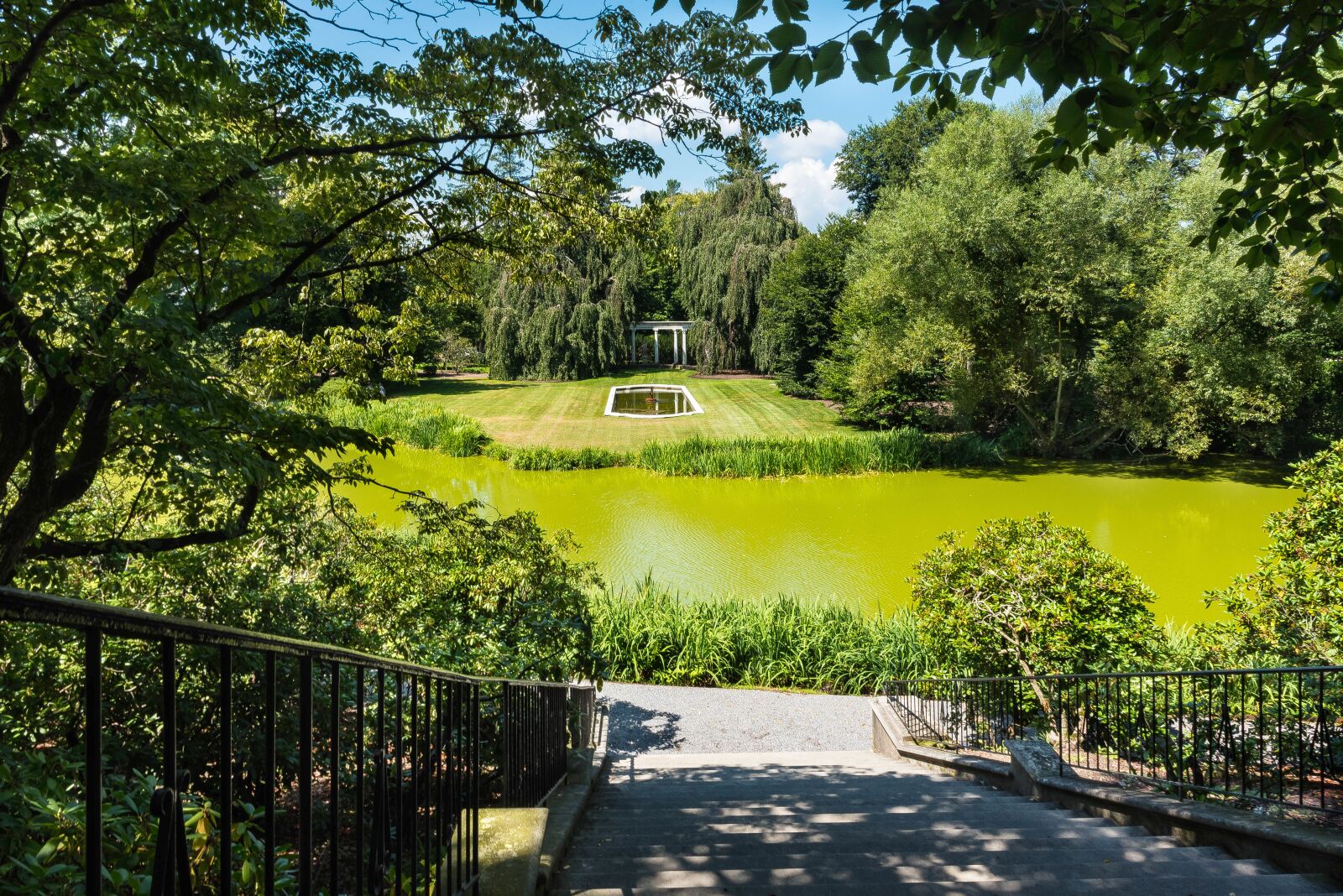 Nikon D750 sample photo. Estate, stairs, murky pond photography