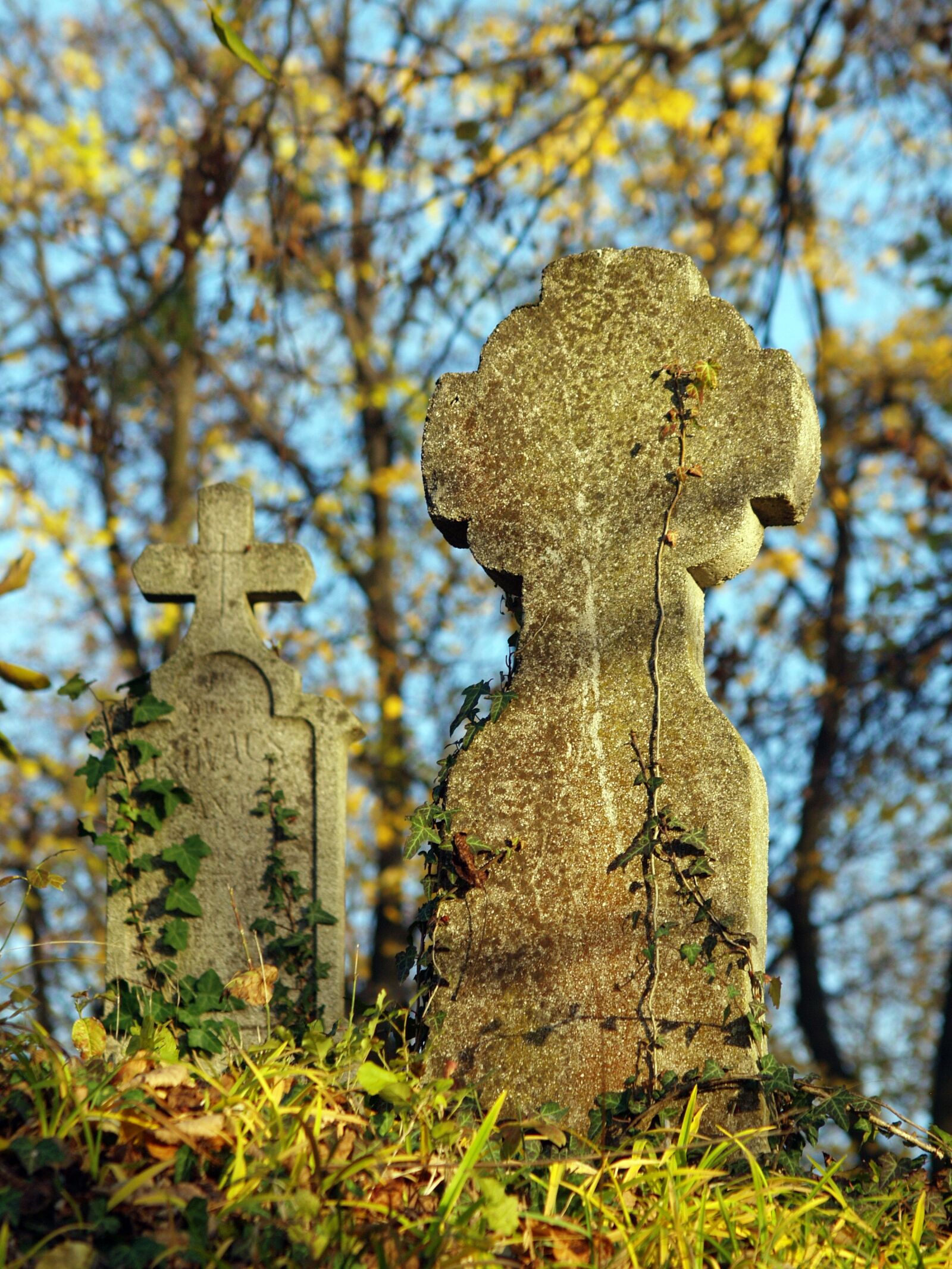 Olympus E-330 (EVOLT E-330) sample photo. Cemetery, mood, grave photography