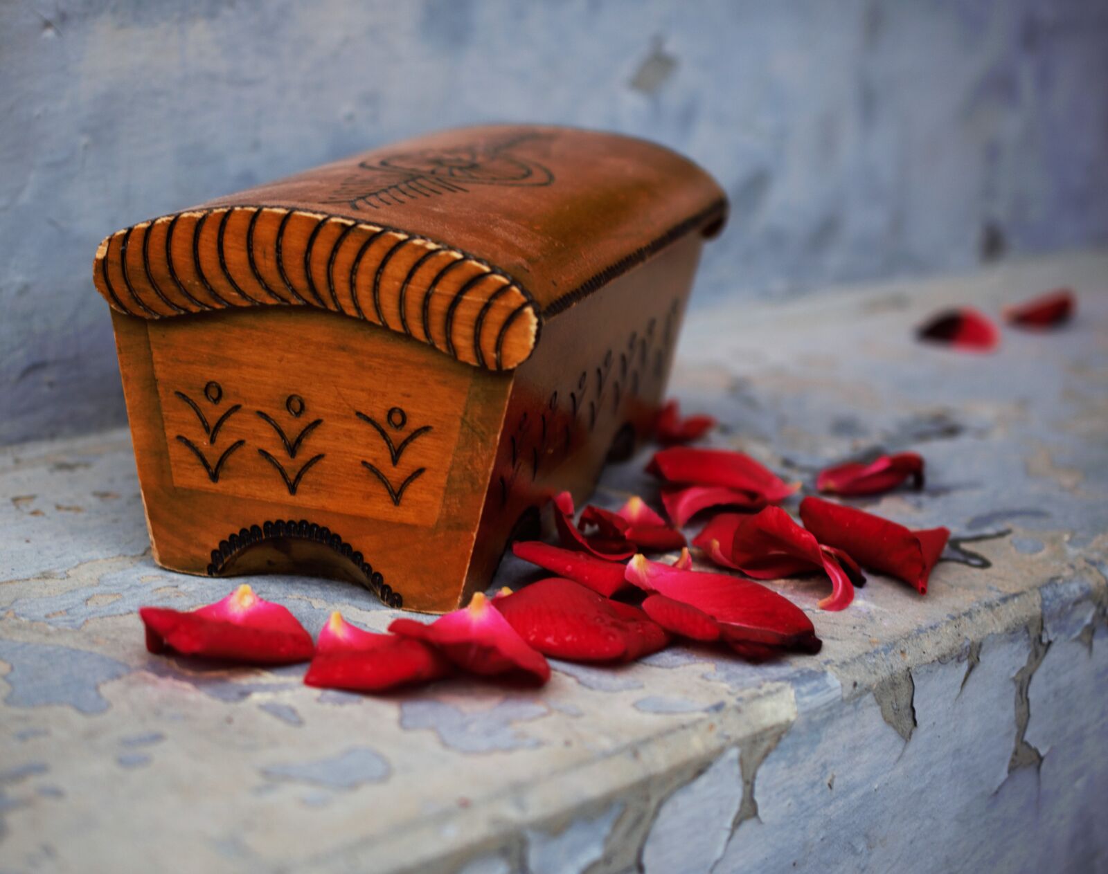Nikon D5300 sample photo. Leaves from roses, wooden photography