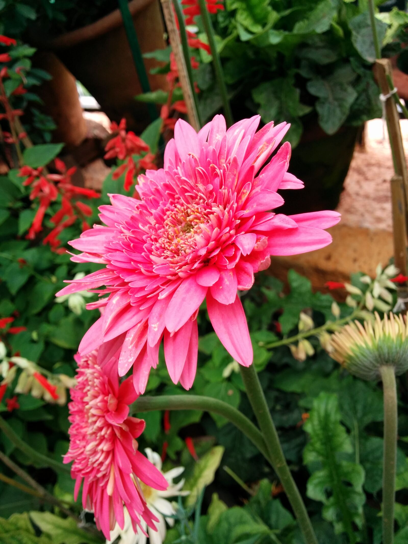 LG Nexus 5 sample photo