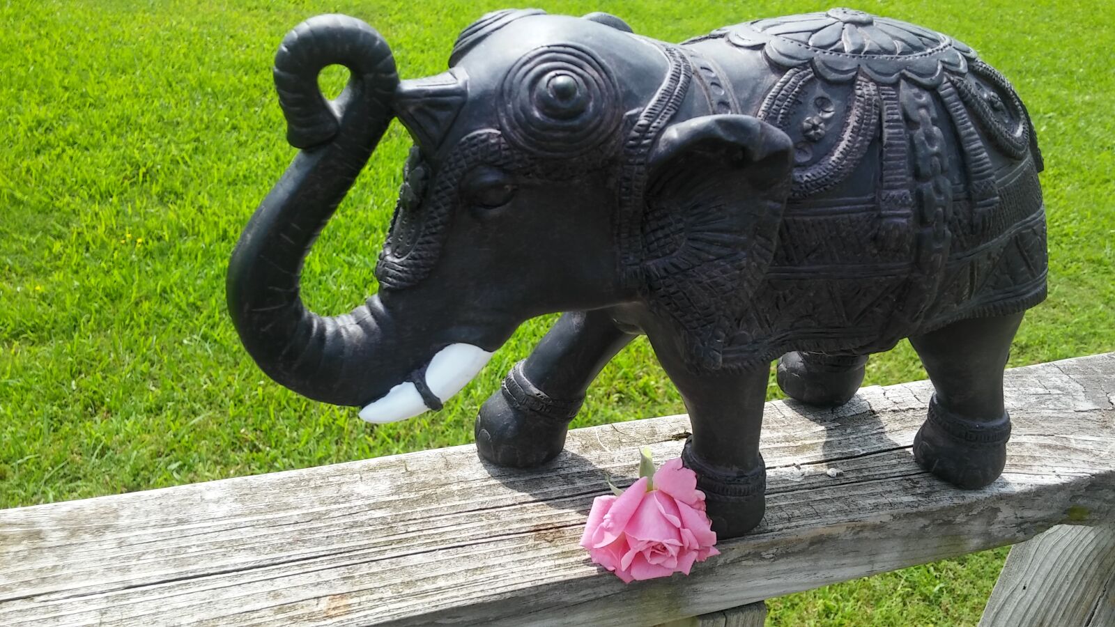 LG G STYLO sample photo. Symbolic, elephant, pink rose photography