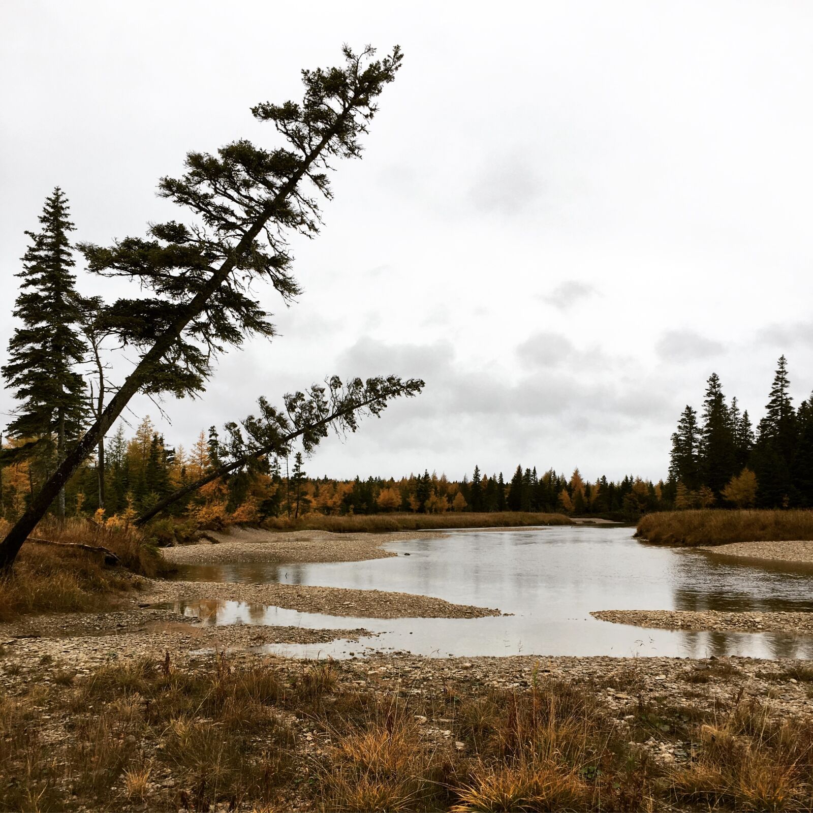 Apple iPhone 6s sample photo. Trees, anticosti, lake photography