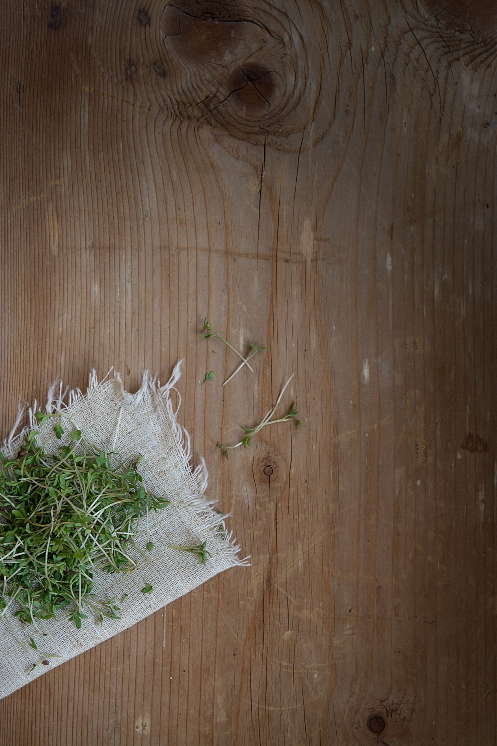 Nikon D7100 sample photo. Cress, plant, green photography