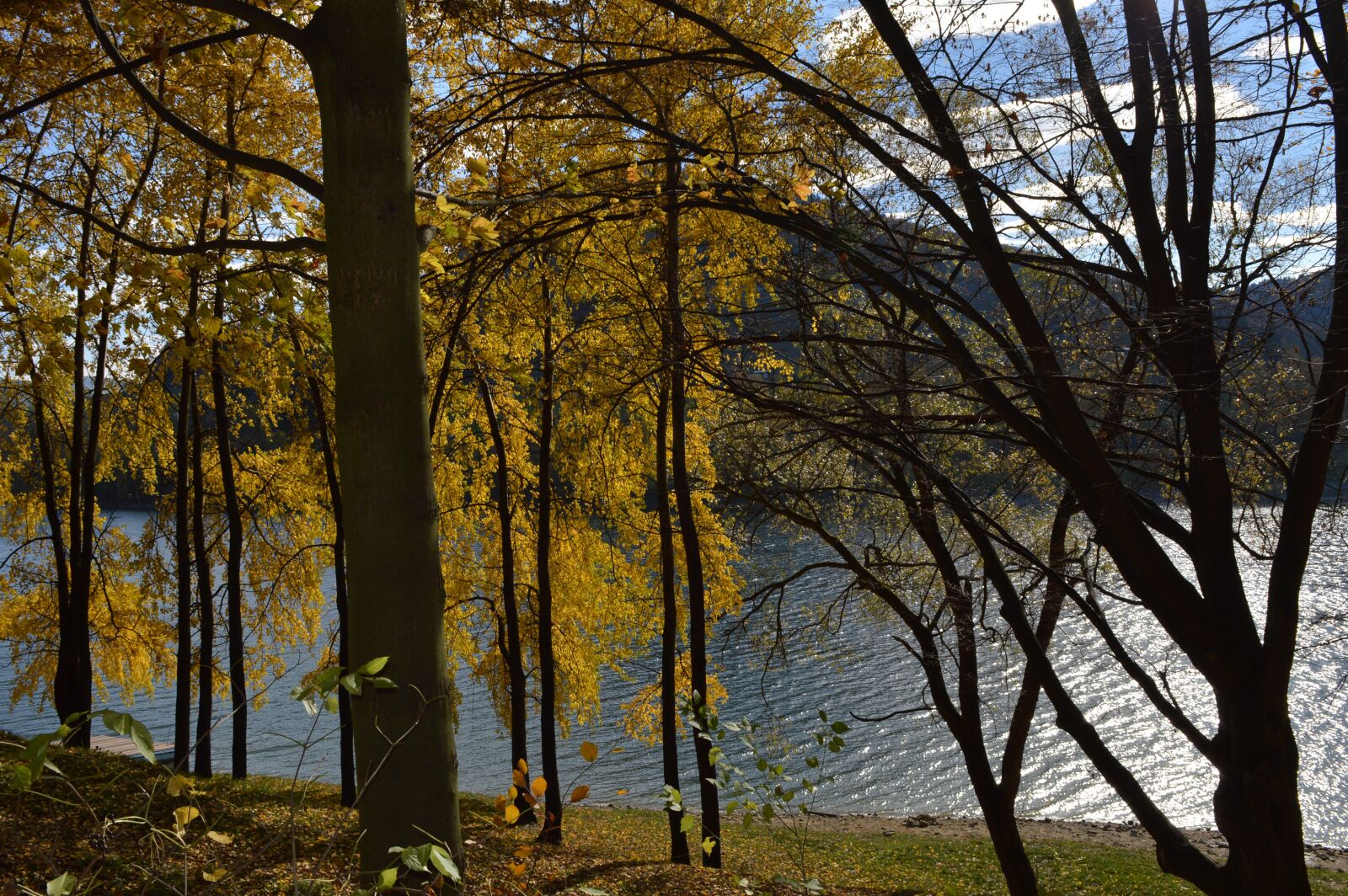 Nikon D3200 sample photo. Water, autumn, nature photography