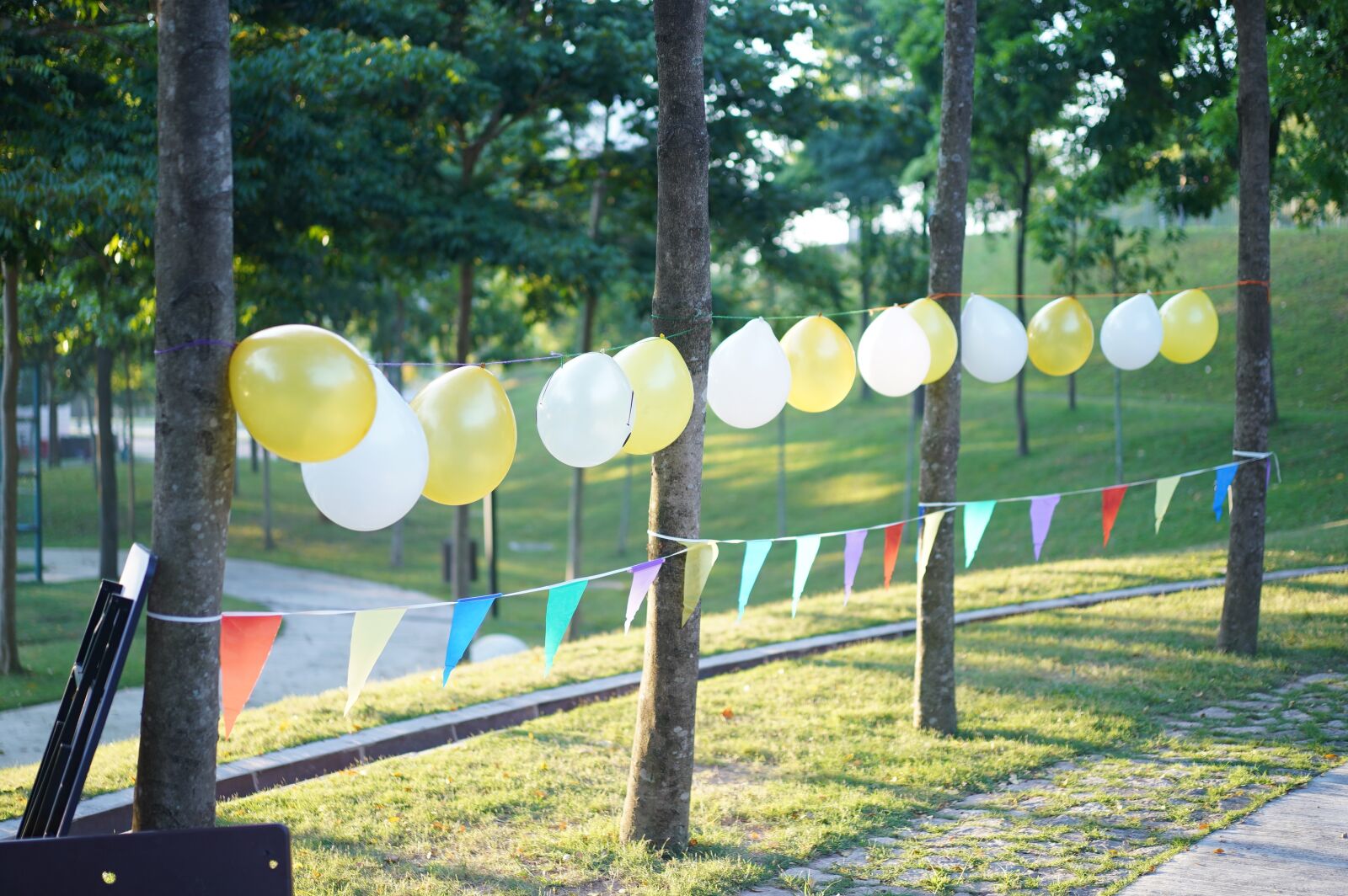 Sony a7 III + Sony Sonnar T* FE 55mm F1.8 ZA sample photo. Balloon, party, nature photography