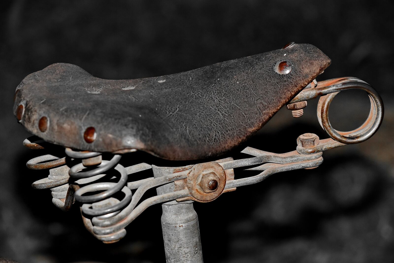 Nikon D5500 sample photo. Bicycle, leather, old, seat photography