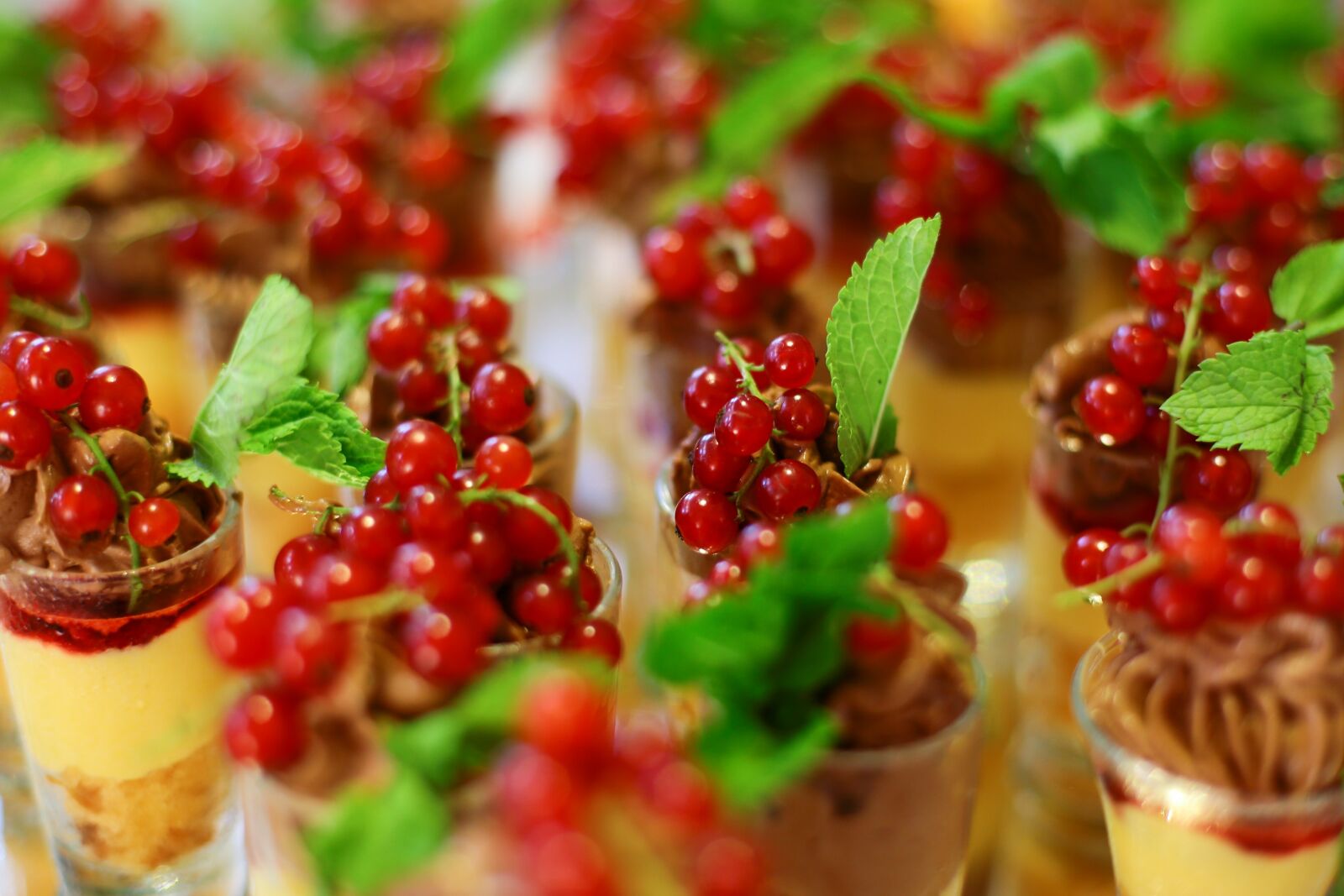 Canon EF 50mm F1.4 USM sample photo. Currant, berry, vitamins photography