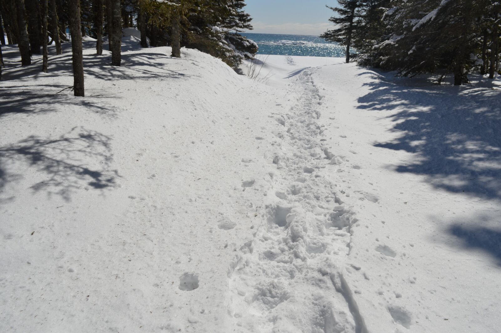 Nikon D3200 sample photo. Trail, not, snow photography