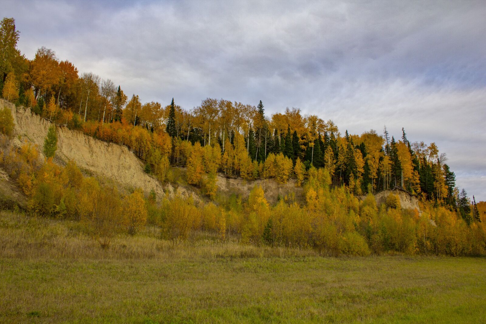 Canon EOS 60D + Canon EF-S 18-55mm F3.5-5.6 sample photo. Autumn, landscape, nature photography