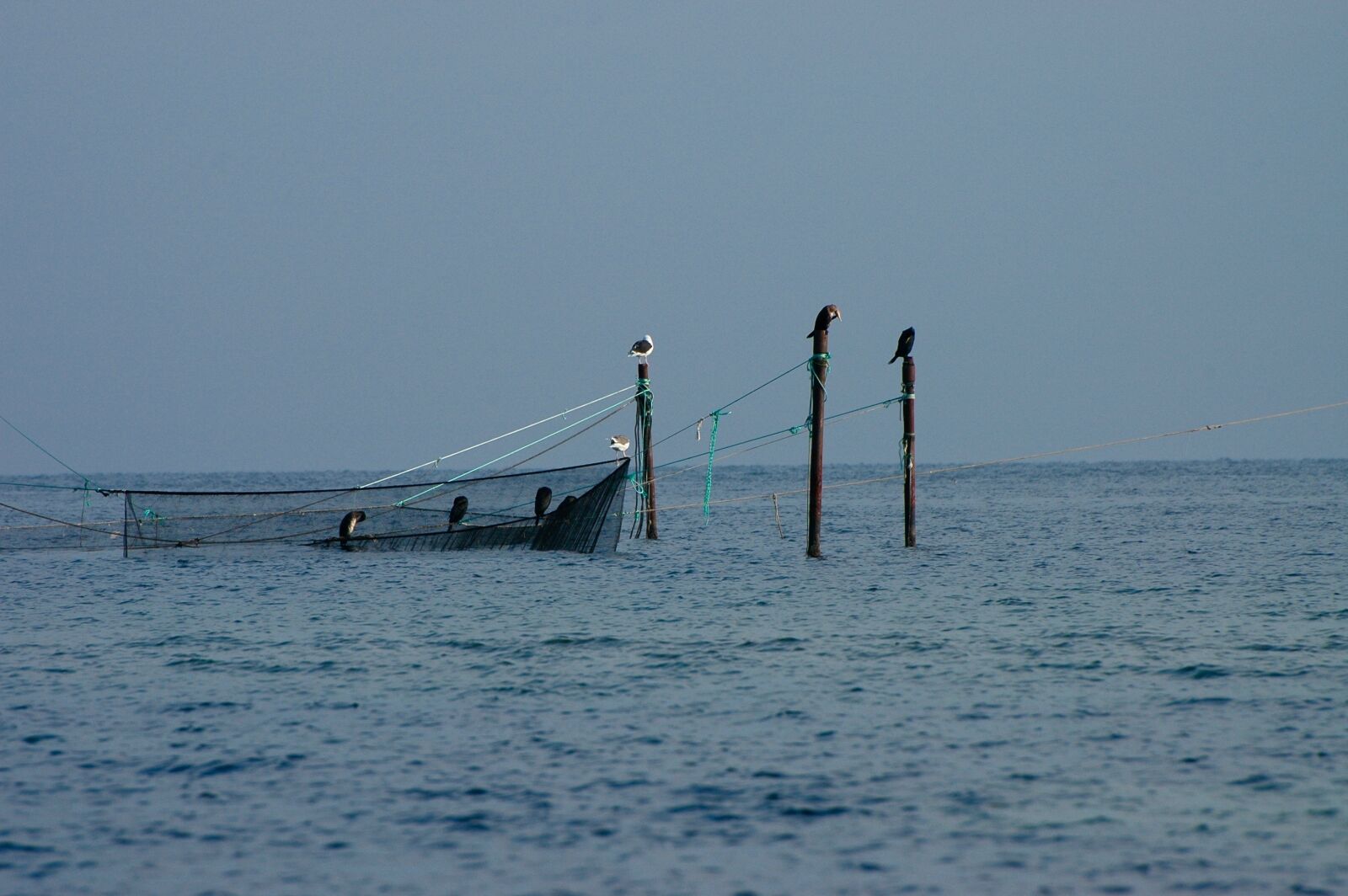 Nikon D70 sample photo. Baltic sea, fishing, networks photography