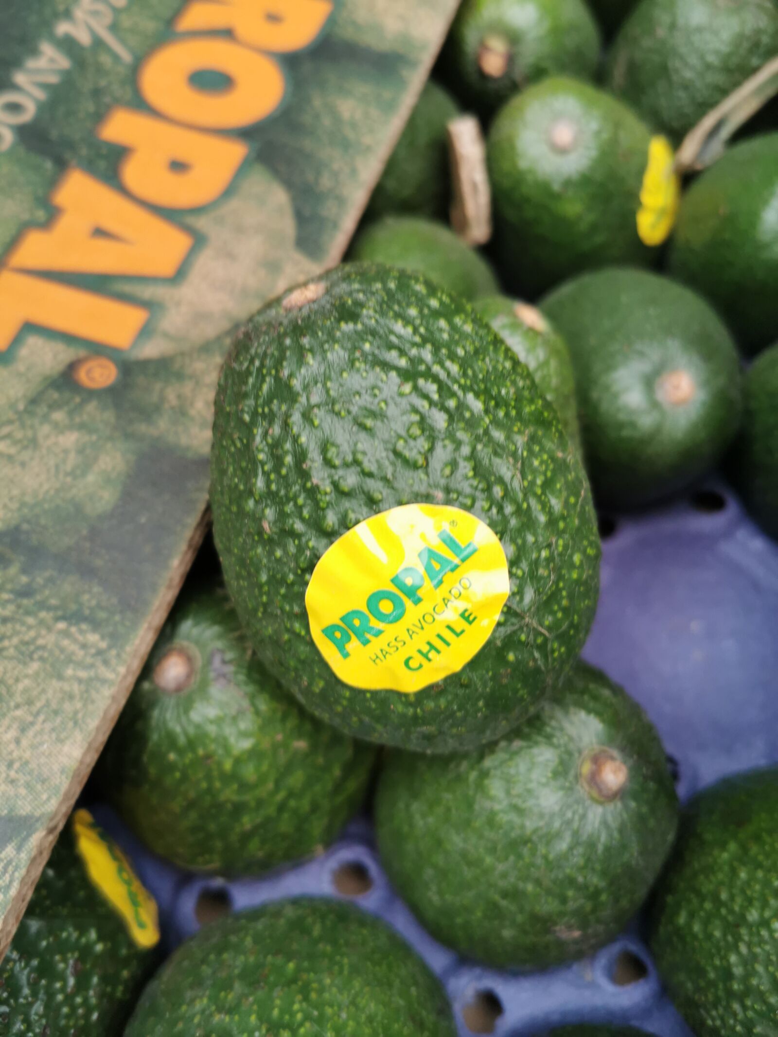 HUAWEI P30 Pro sample photo. Avocado, fruit, imported fruit photography