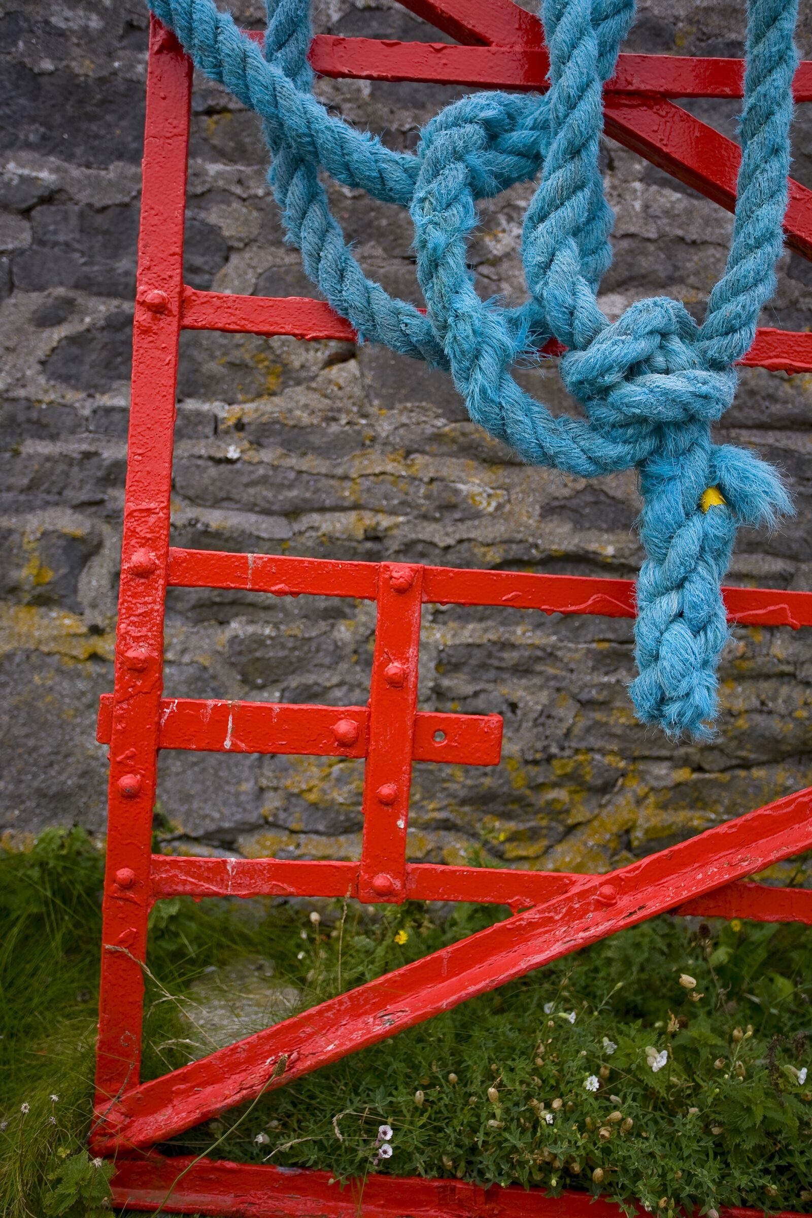 Canon EOS 5D sample photo. Gate, rope, red photography
