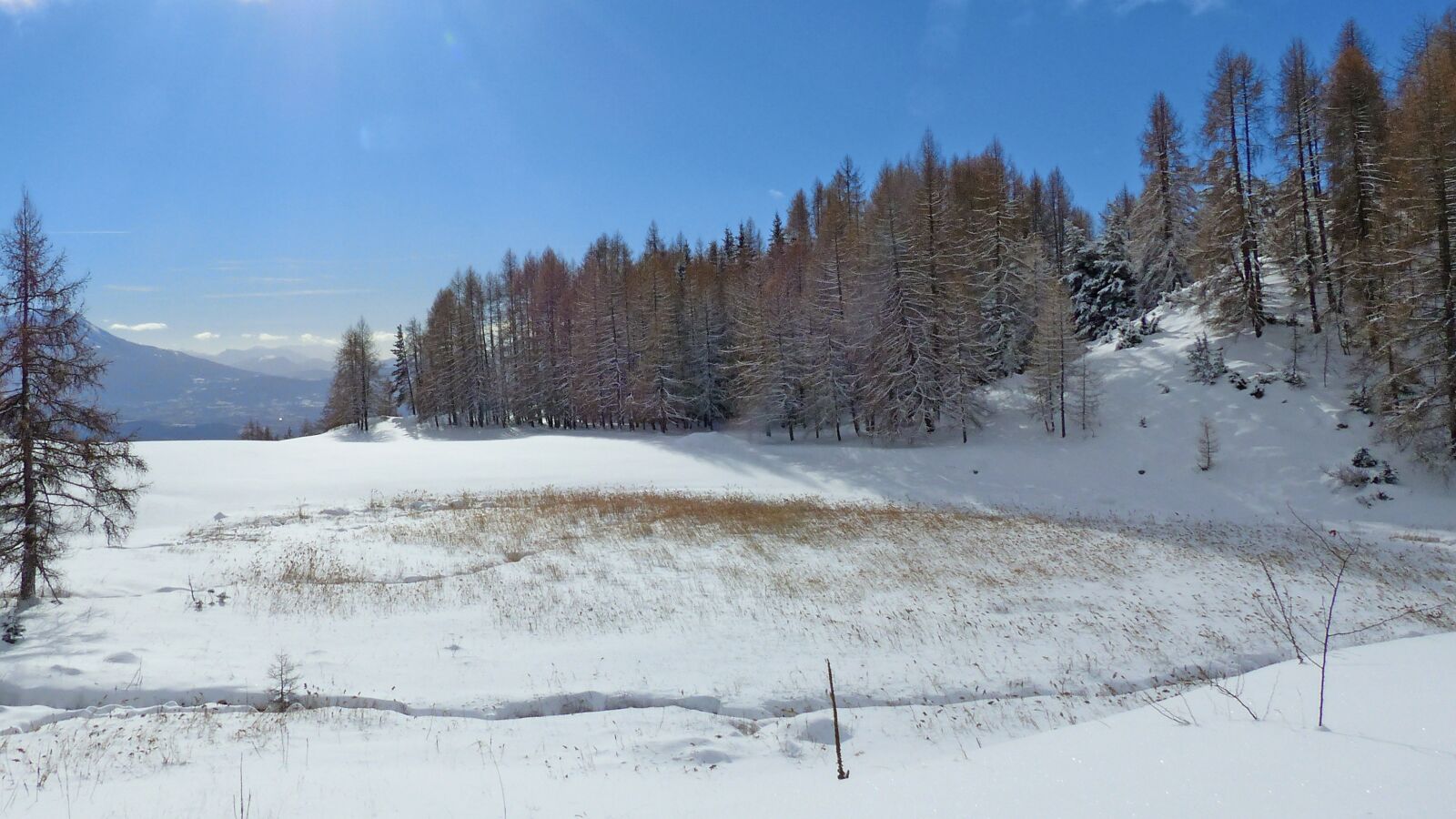 Panasonic Lumix DMC-FZ200 sample photo. Landscape, winter, snow photography
