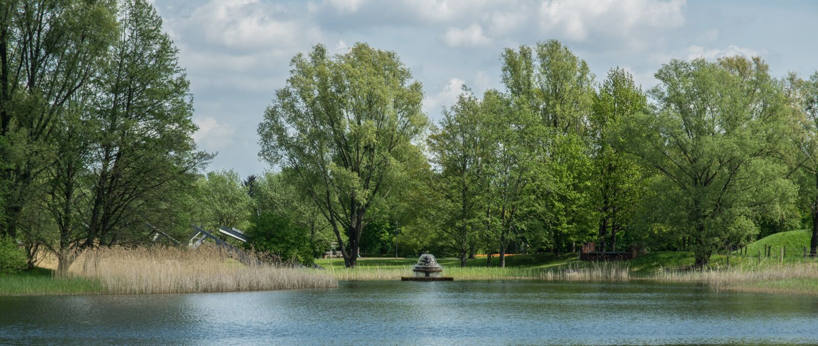 Pentax K-3 sample photo. Nature, waters, tree photography