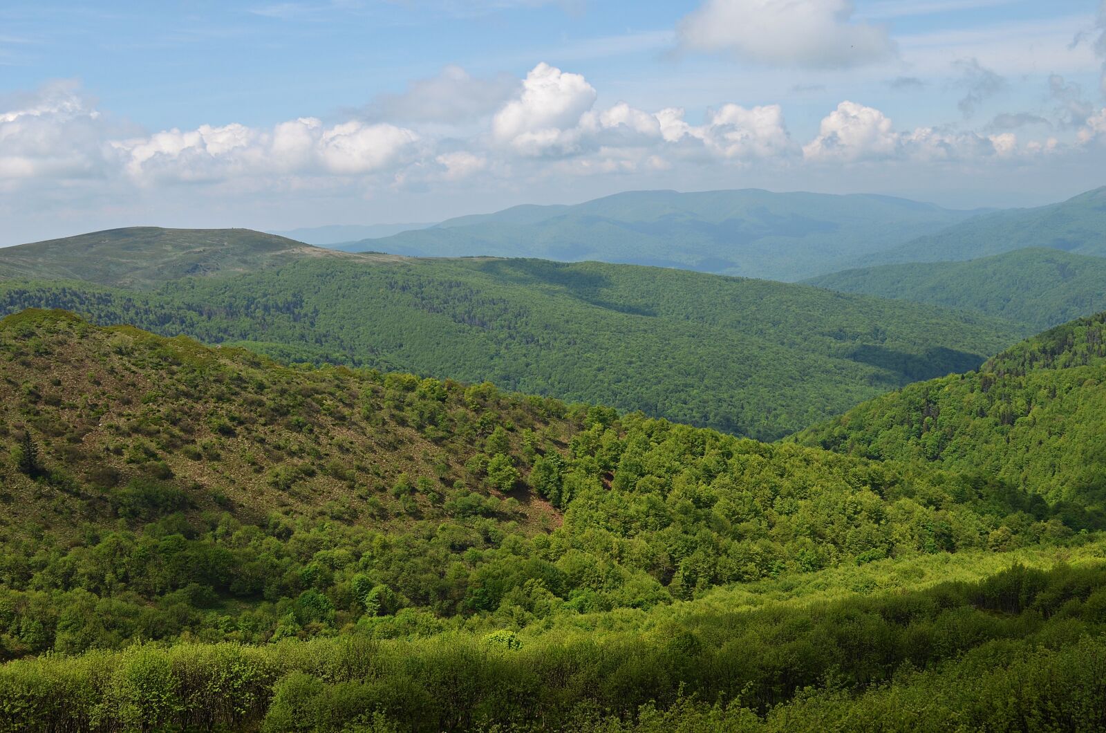 Nikon D5100 sample photo. Mountains, landscape, bieszczady photography