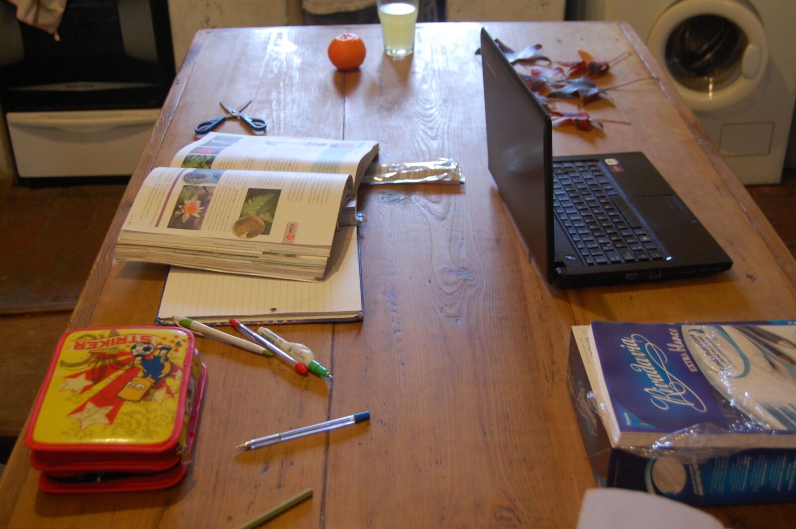 Nikon D40 sample photo. School, tasks, school supplies photography