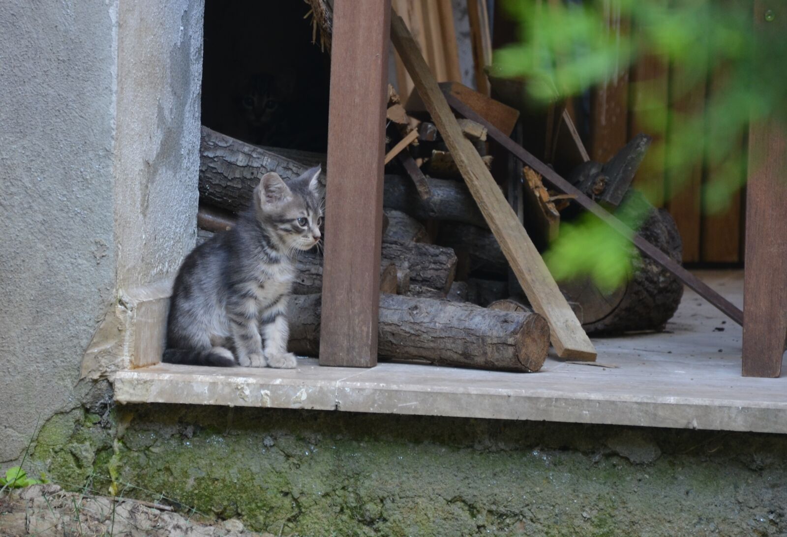 Nikon D7000 sample photo. Istanbul photography