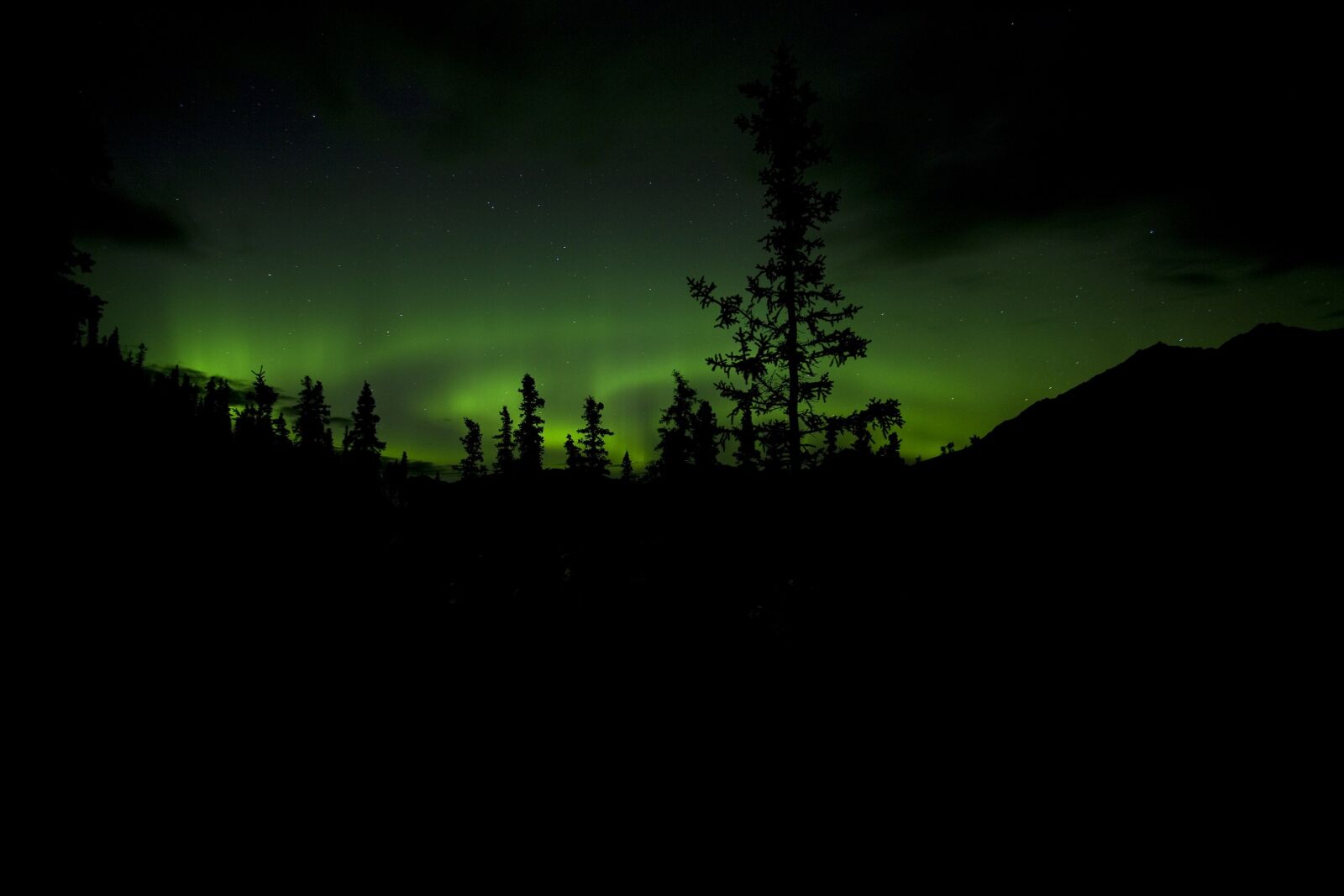 Canon EOS 5D Mark II sample photo. Aurora borealis, northern lights photography