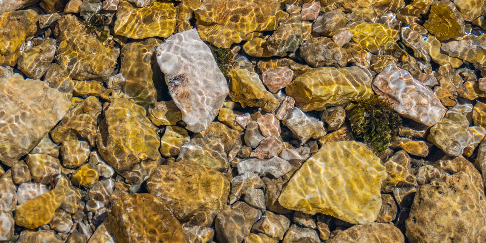 Panasonic DC-FZ10002 sample photo. Stones, water, river photography