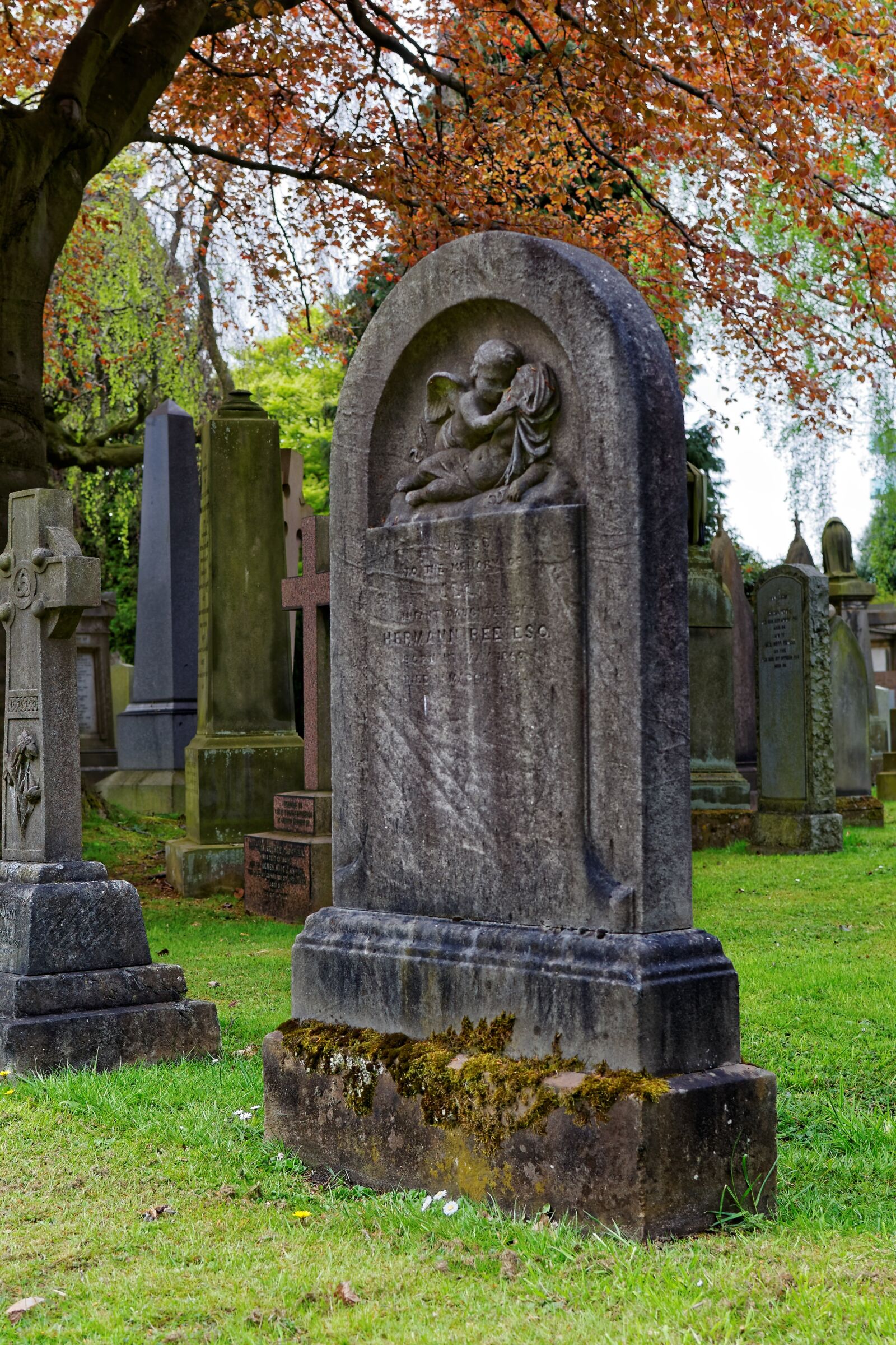 Nikon D90 sample photo. Dean's, garden, cemetery photography