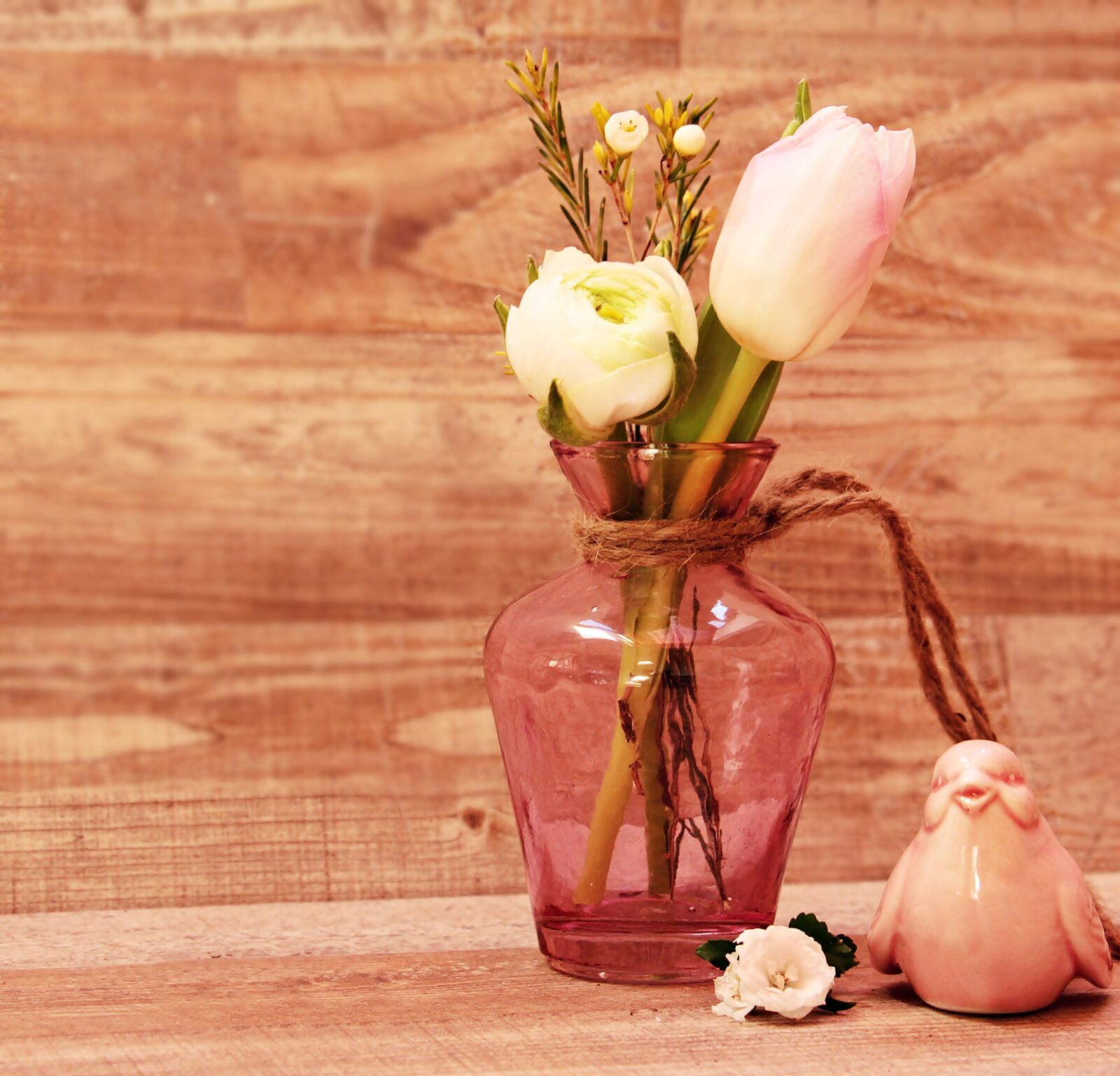Canon EOS 550D (EOS Rebel T2i / EOS Kiss X4) sample photo. Tulips, ranunculus, bird photography