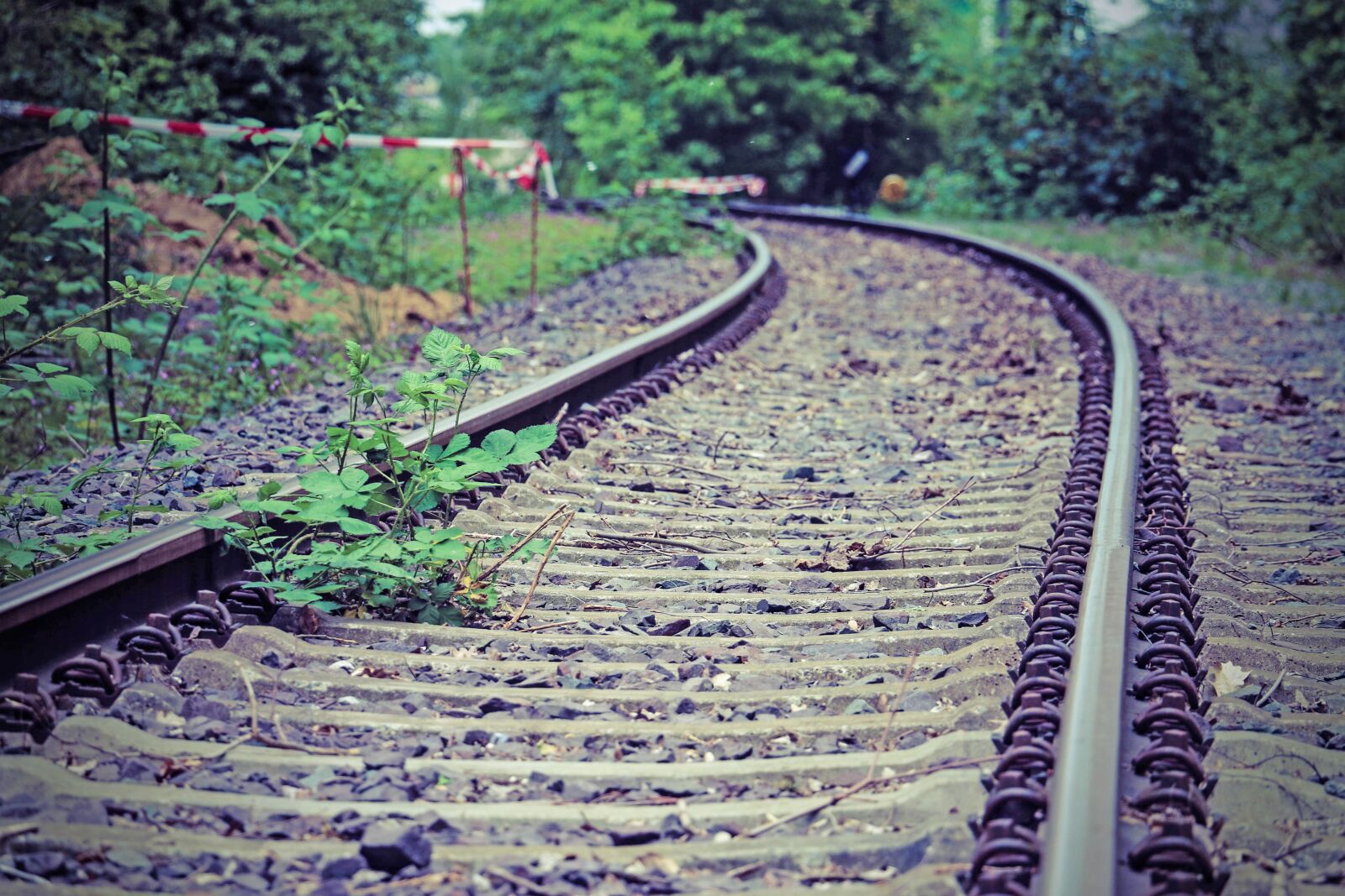 Canon EOS 70D sample photo. Rails, train, railway photography