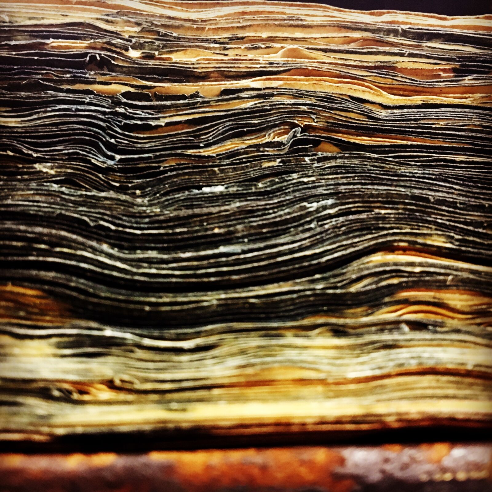 Apple iPhone 6s sample photo. Manuscript, parchment, old photography