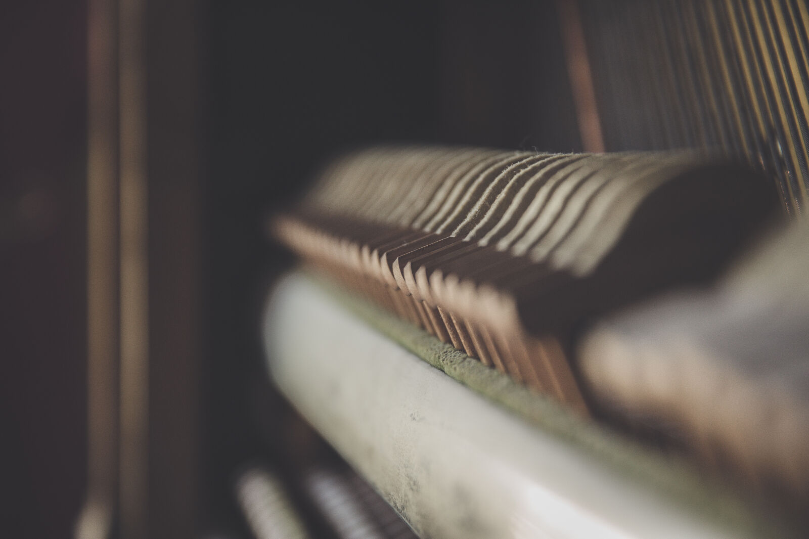 Canon EF 24-70mm F2.8L II USM sample photo. Blur, close, up, conceptual photography