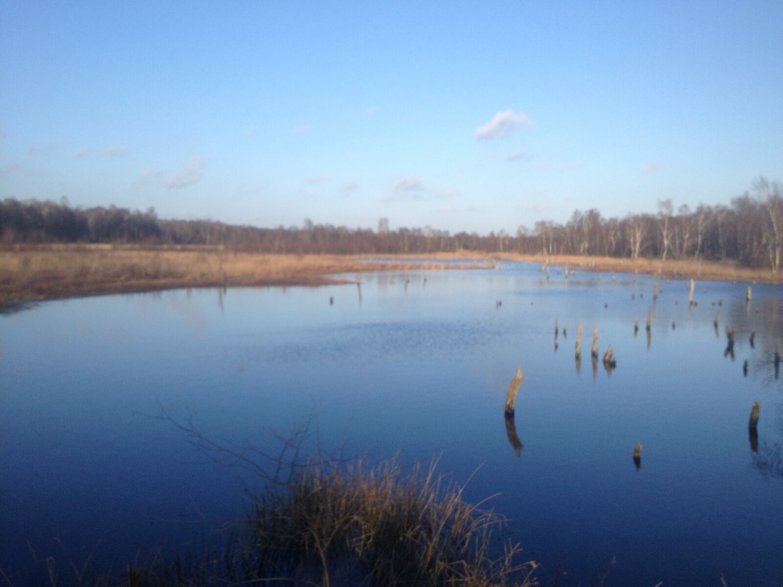 Apple iPhone 4S sample photo. Moor, water, swamp photography