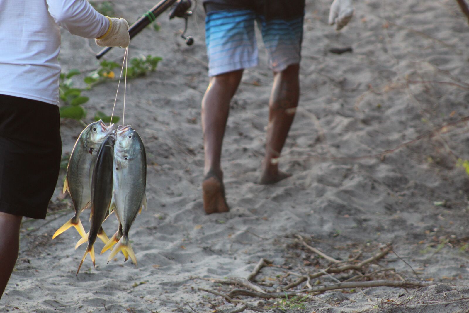 Canon EOS 1300D (EOS Rebel T6 / EOS Kiss X80) sample photo. Fish, fishermen, fisherman photography